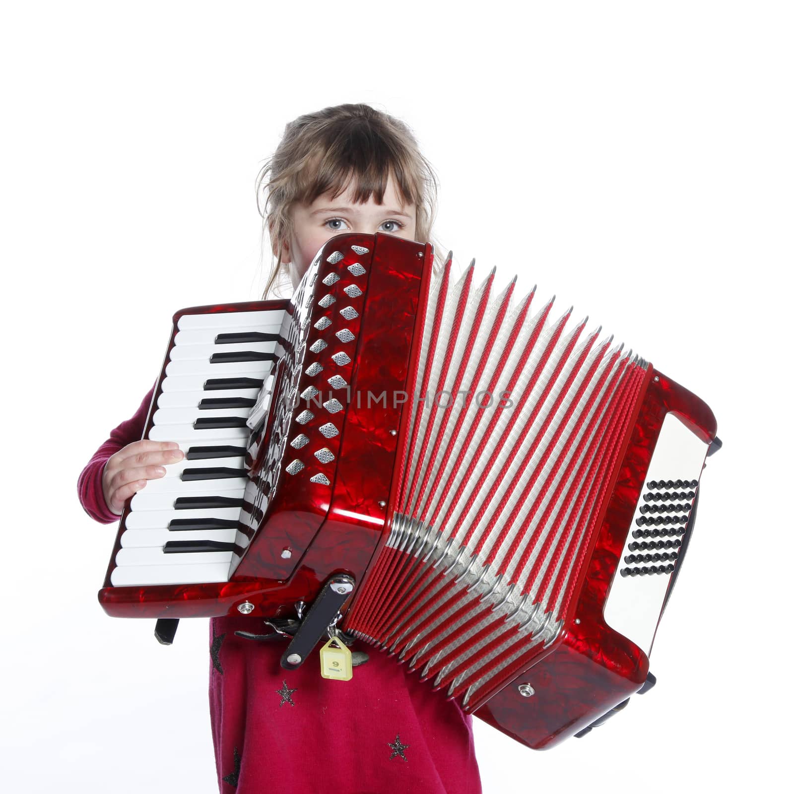 very young girl with accordion in studio against white background