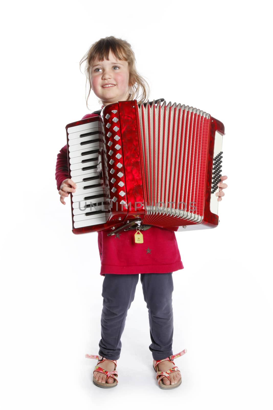 very young girl with accordion in studio against white background