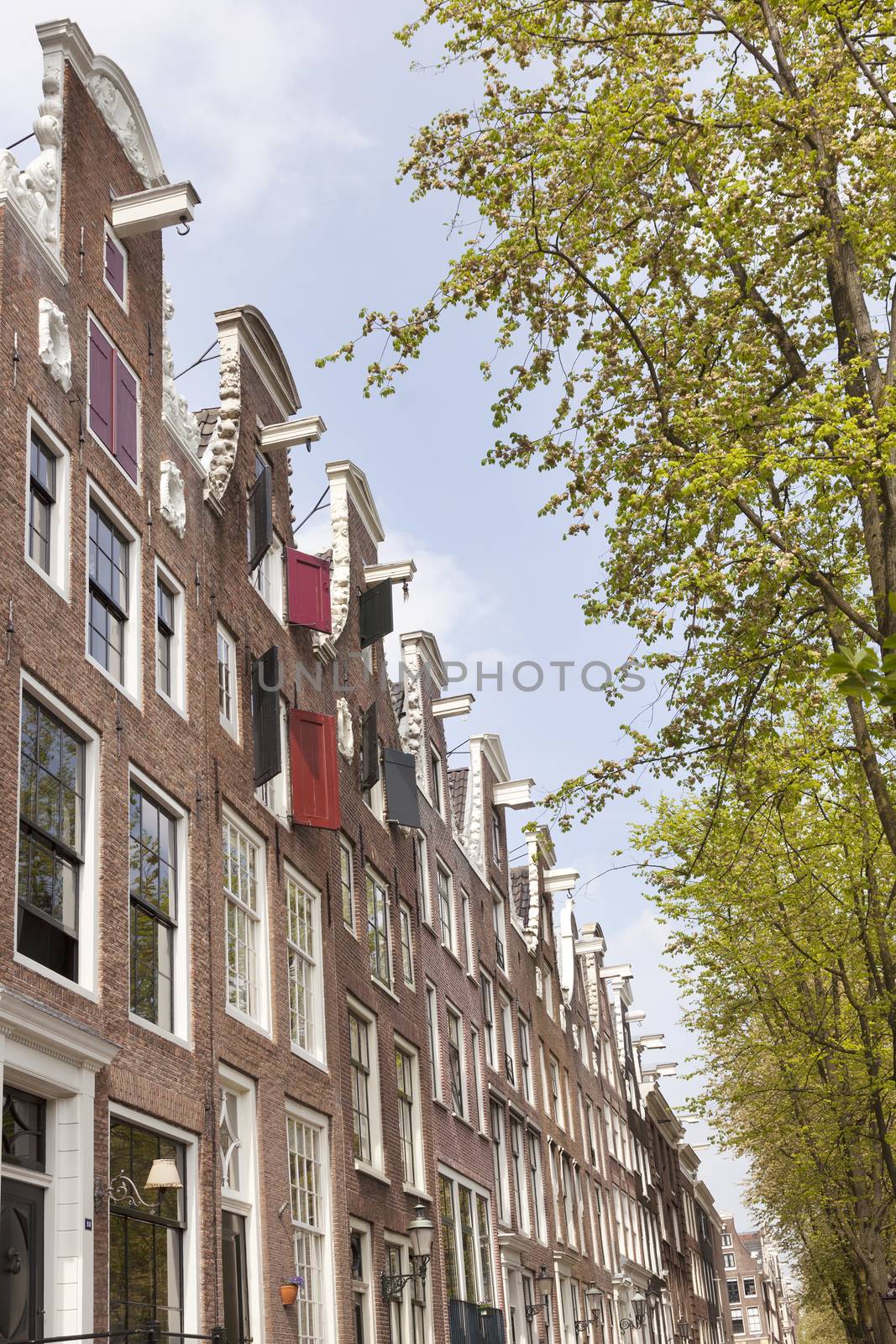 facades of canal houses on leidsegracht in centre of amsterdam with green trees in spring