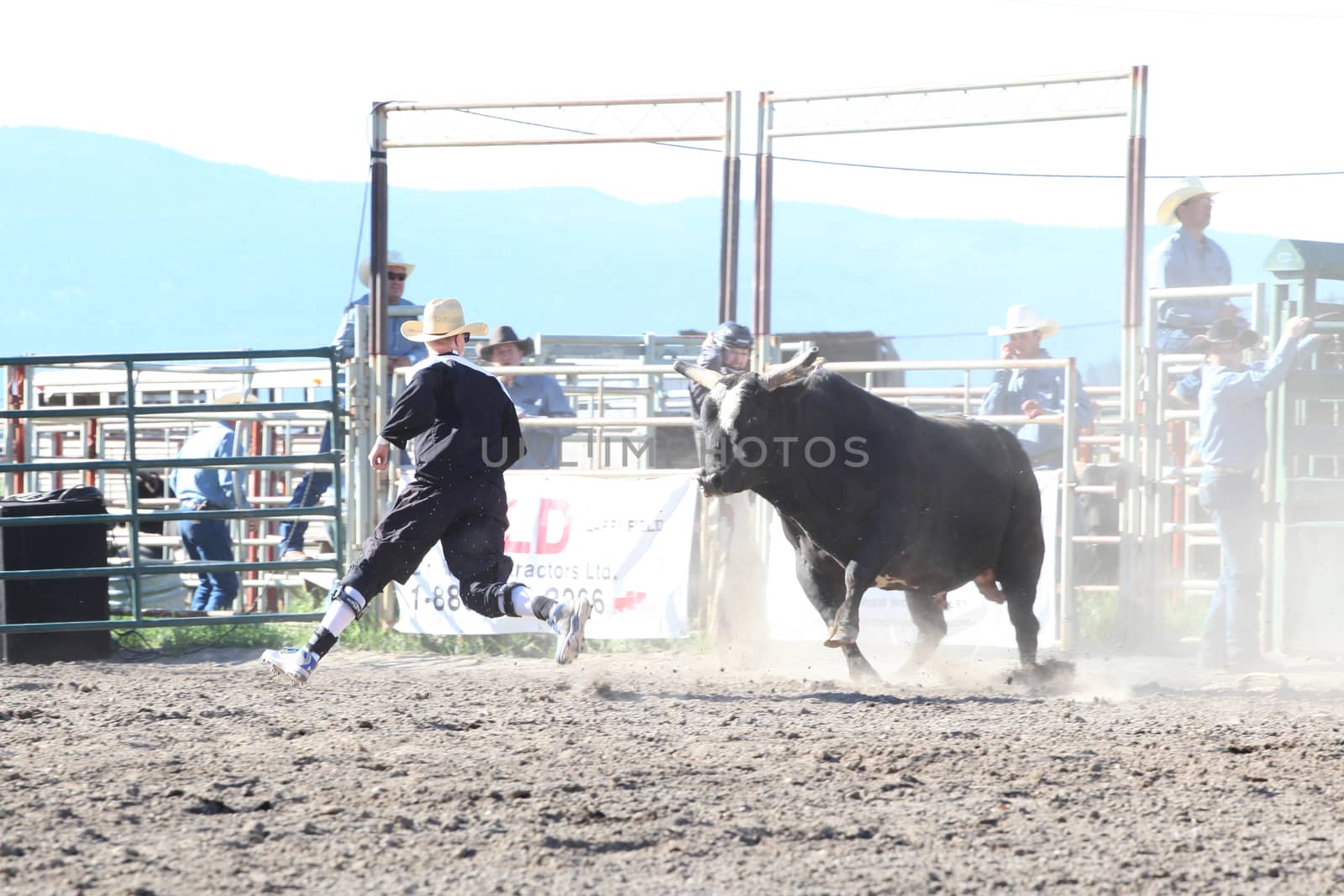 MERRITT, B.C. CANADA - May 30, 2015: Bull rider riding in the first round of The 3rd Annual Ty Pozzobon Invitational PBR Event.