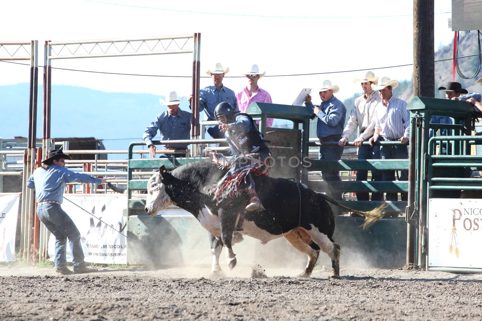 MERRITT, B.C. CANADA - May 30, 2015: Bull rider riding in the first round of The 3rd Annual Ty Pozzobon Invitational PBR Event.