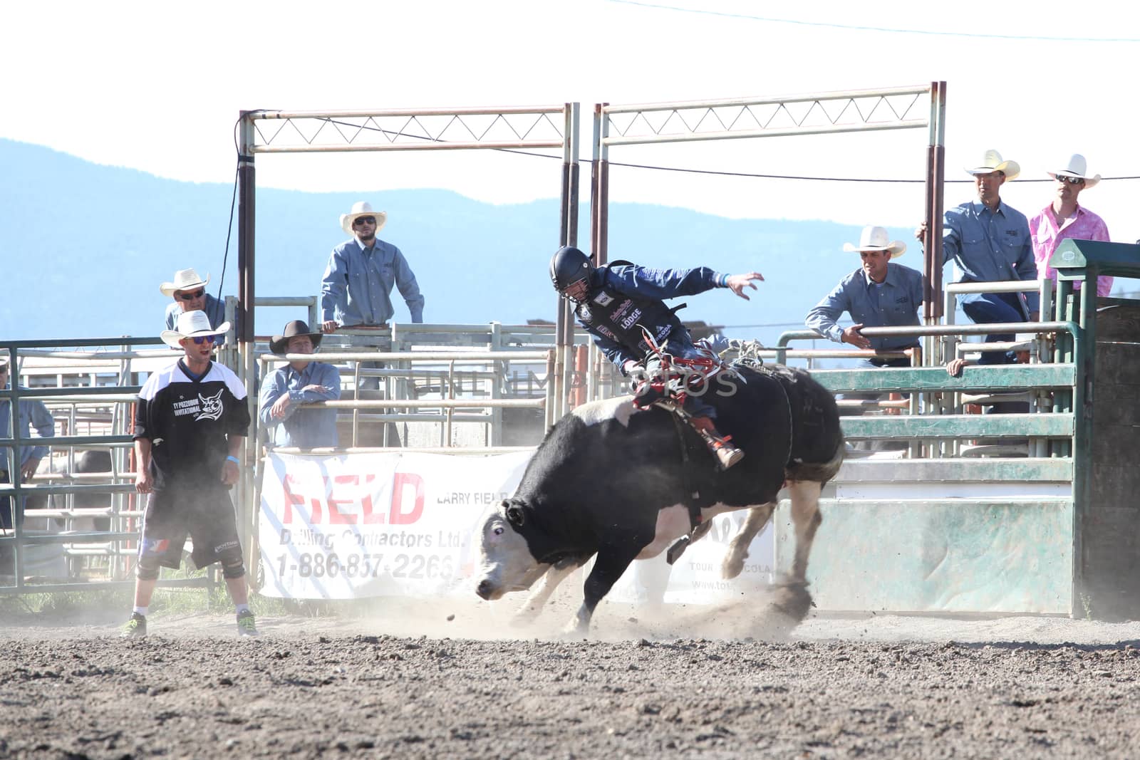 MERRITT, B.C. CANADA - May 30, 2015: Bull rider riding in the first round of The 3rd Annual Ty Pozzobon Invitational PBR Event.