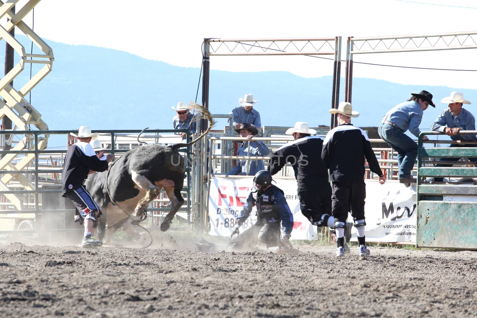 MERRITT, B.C. CANADA - May 30, 2015: Bull rider riding in the first round of The 3rd Annual Ty Pozzobon Invitational PBR Event.