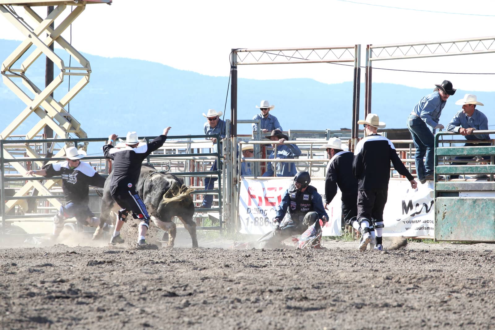 MERRITT, B.C. CANADA - May 30, 2015: Bull rider riding in the first round of The 3rd Annual Ty Pozzobon Invitational PBR Event.