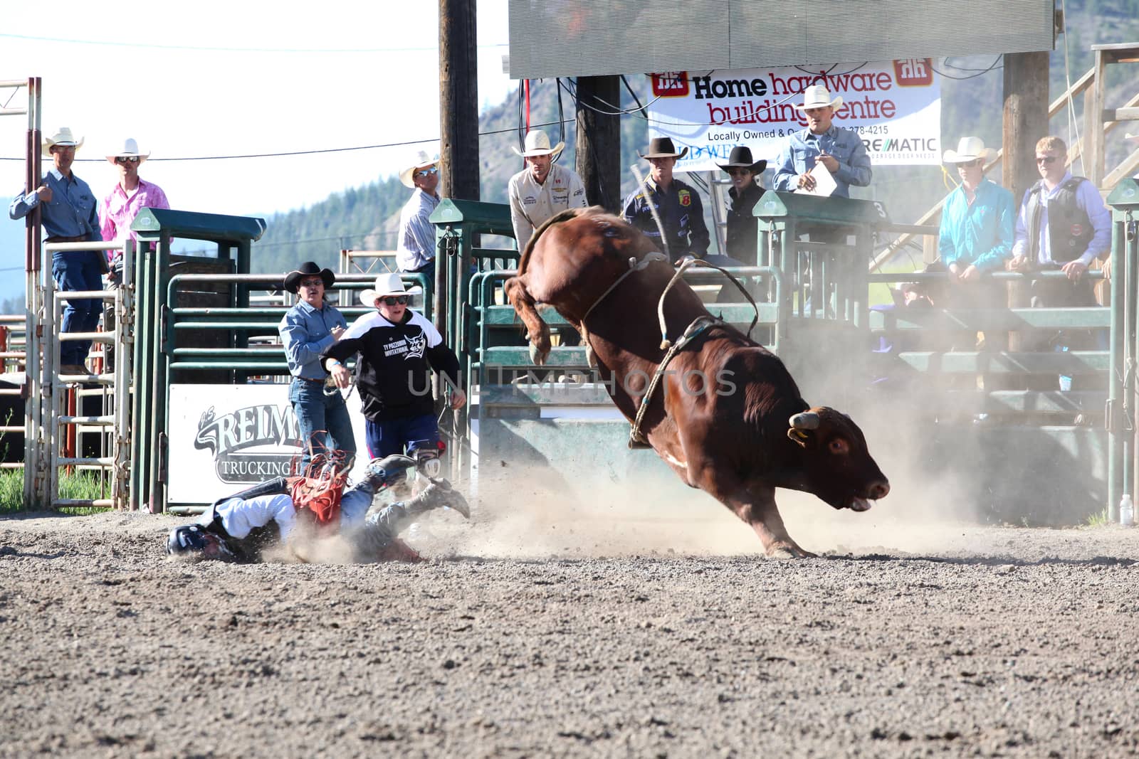 MERRITT, B.C. CANADA - May 30, 2015: Bull rider riding in the first round of The 3rd Annual Ty Pozzobon Invitational PBR Event.