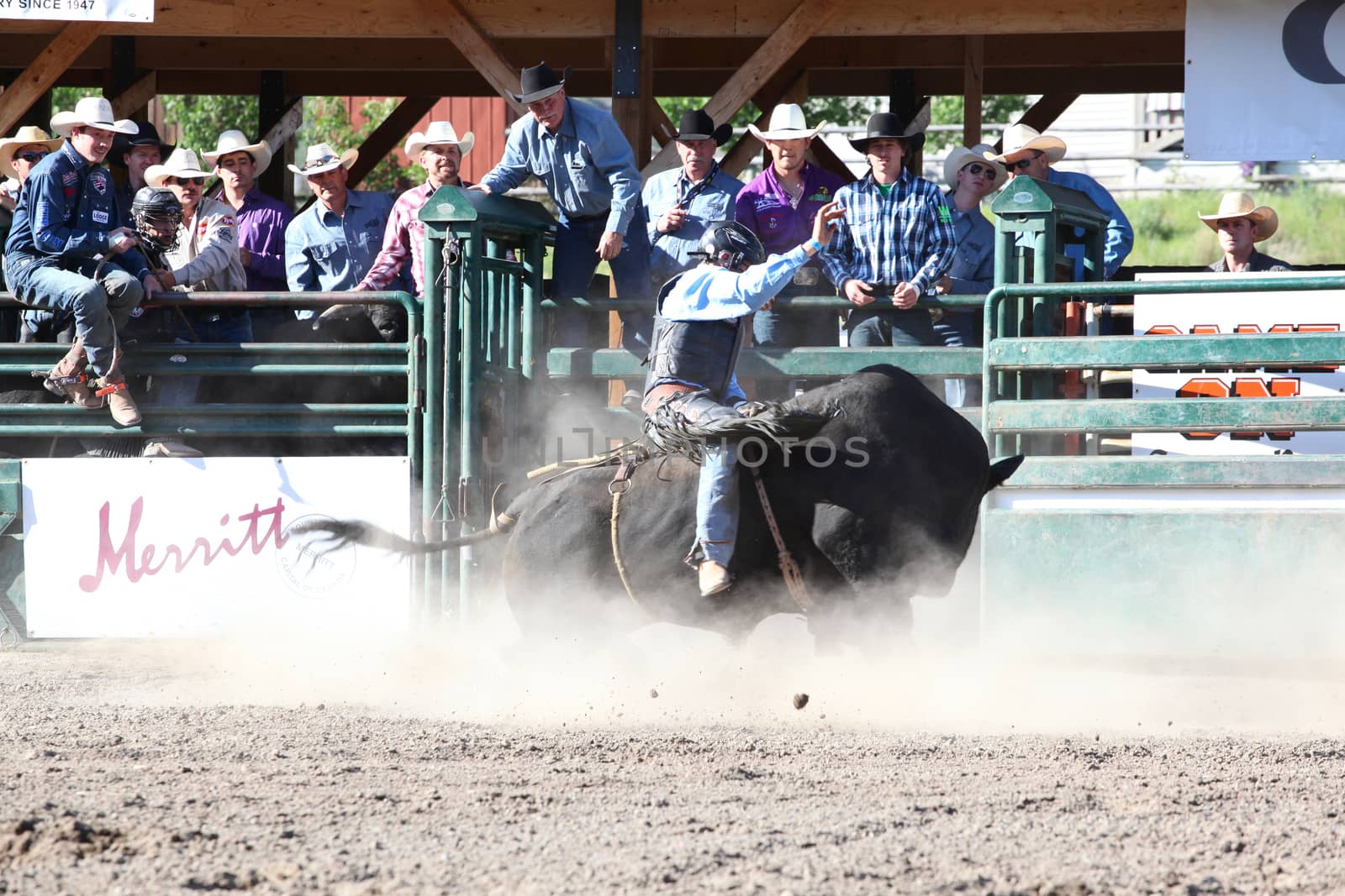 MERRITT, B.C. CANADA - May 30, 2015: Bull rider riding in the first round of The 3rd Annual Ty Pozzobon Invitational PBR Event.