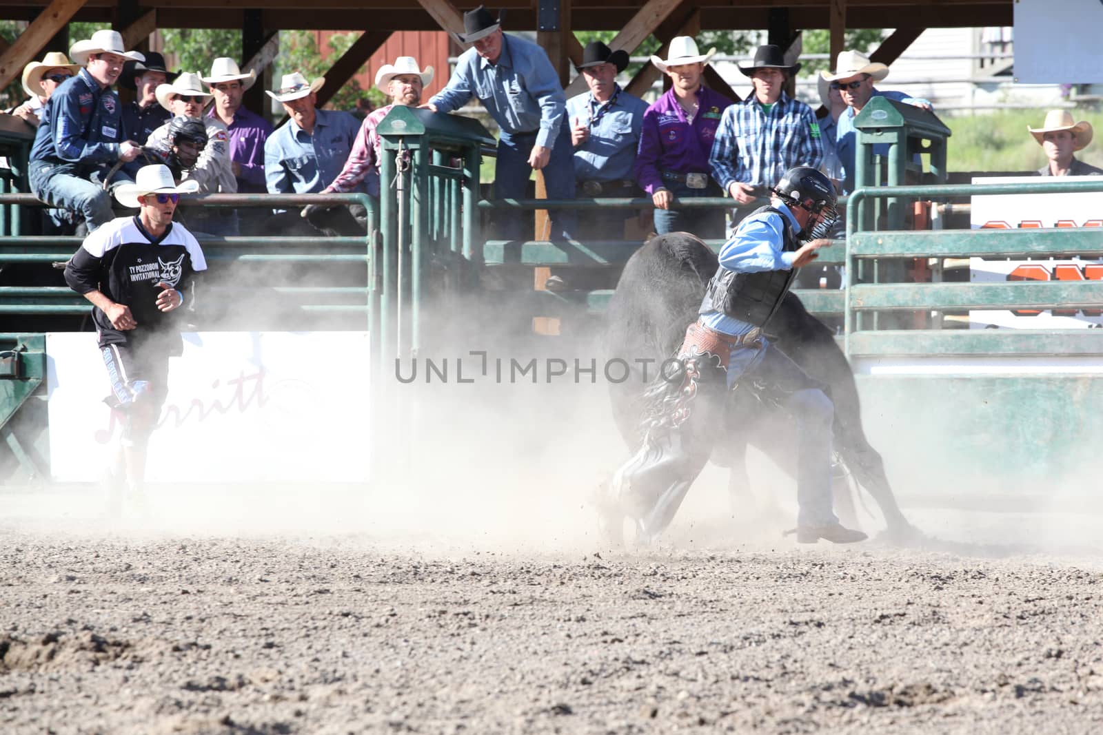 MERRITT, B.C. CANADA - May 30, 2015: Bull rider riding in the first round of The 3rd Annual Ty Pozzobon Invitational PBR Event.