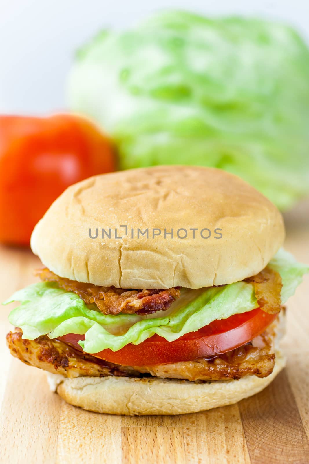 Grilled Chicken Sandwich by SouthernLightStudios