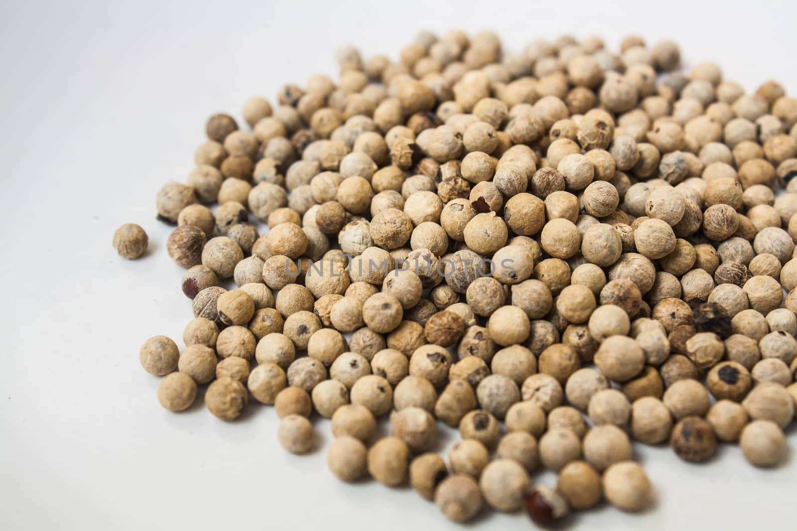 Pile of White Peppercorns Fruit (Piper sp.) Stock Photo