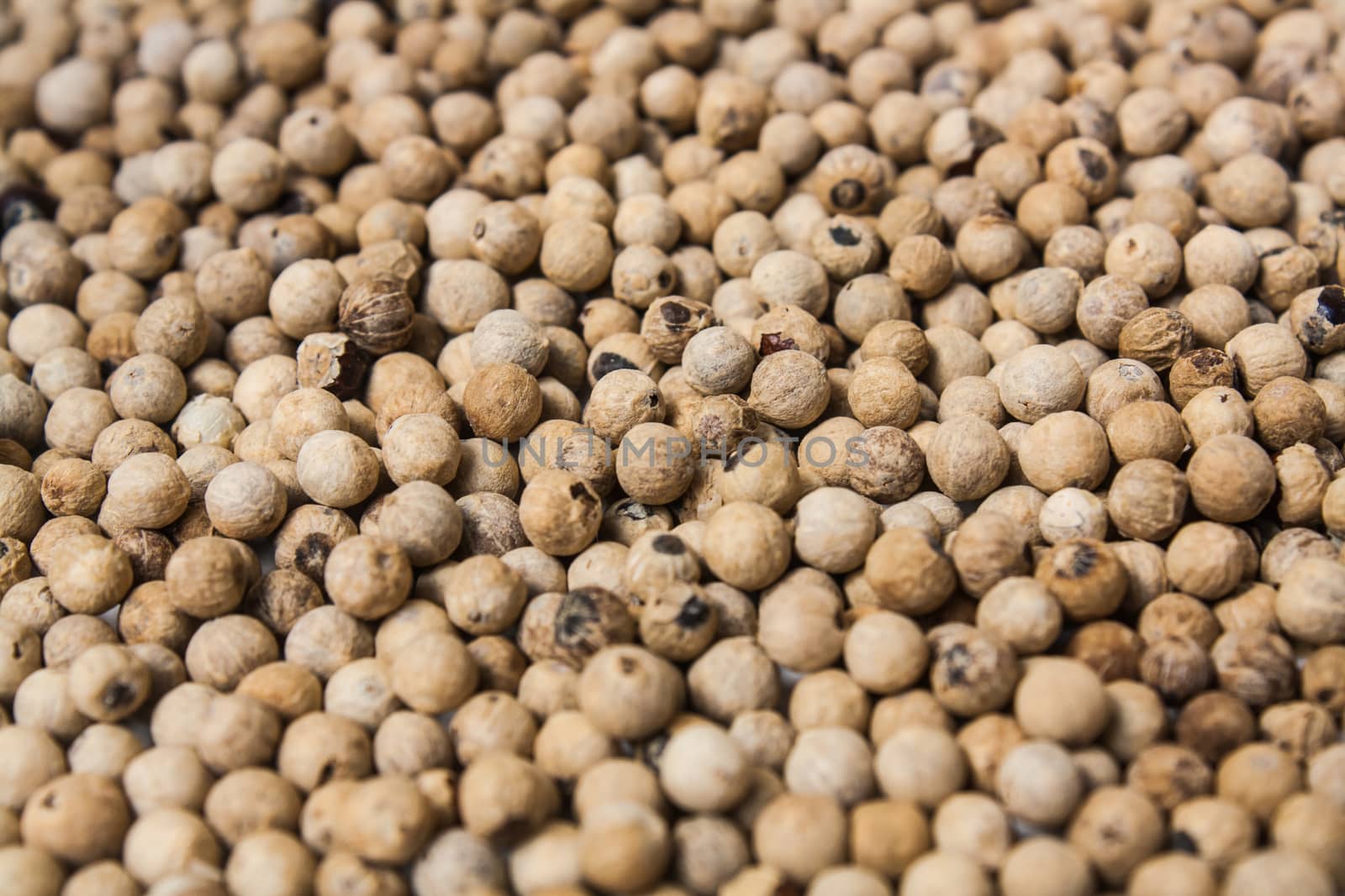 Pile of White Peppercorns Fruit (Piper sp.) Stock Photo