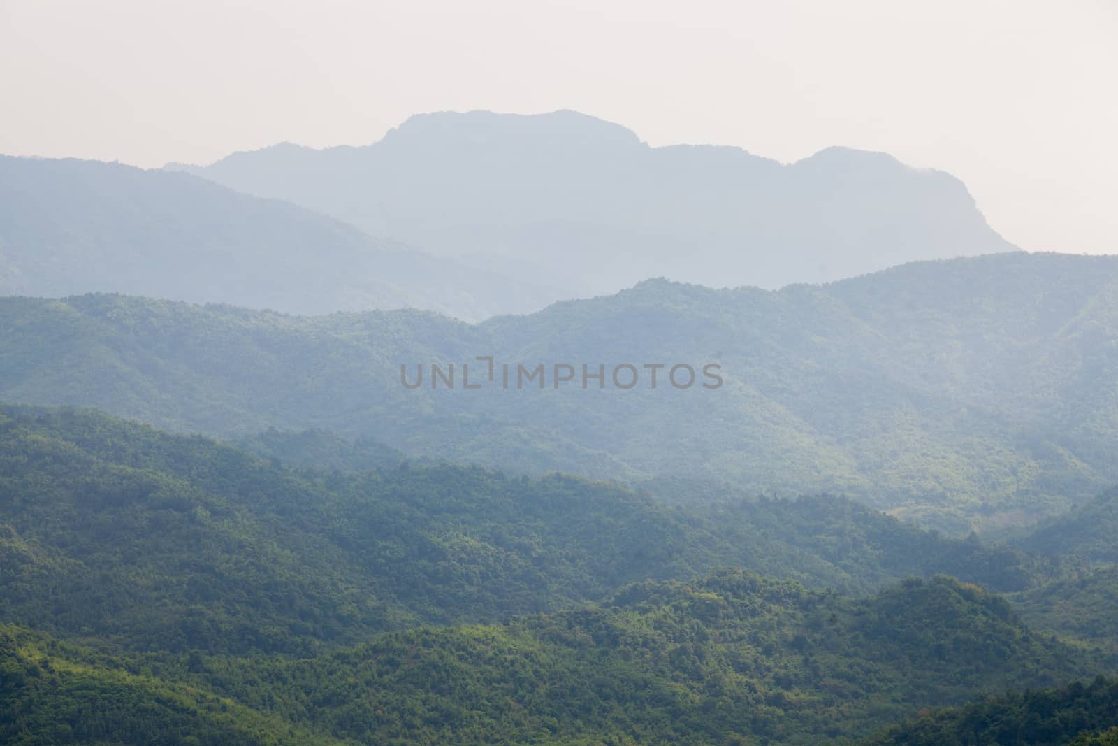 Forests and mountains. Rich Forest covering the whole mountain.