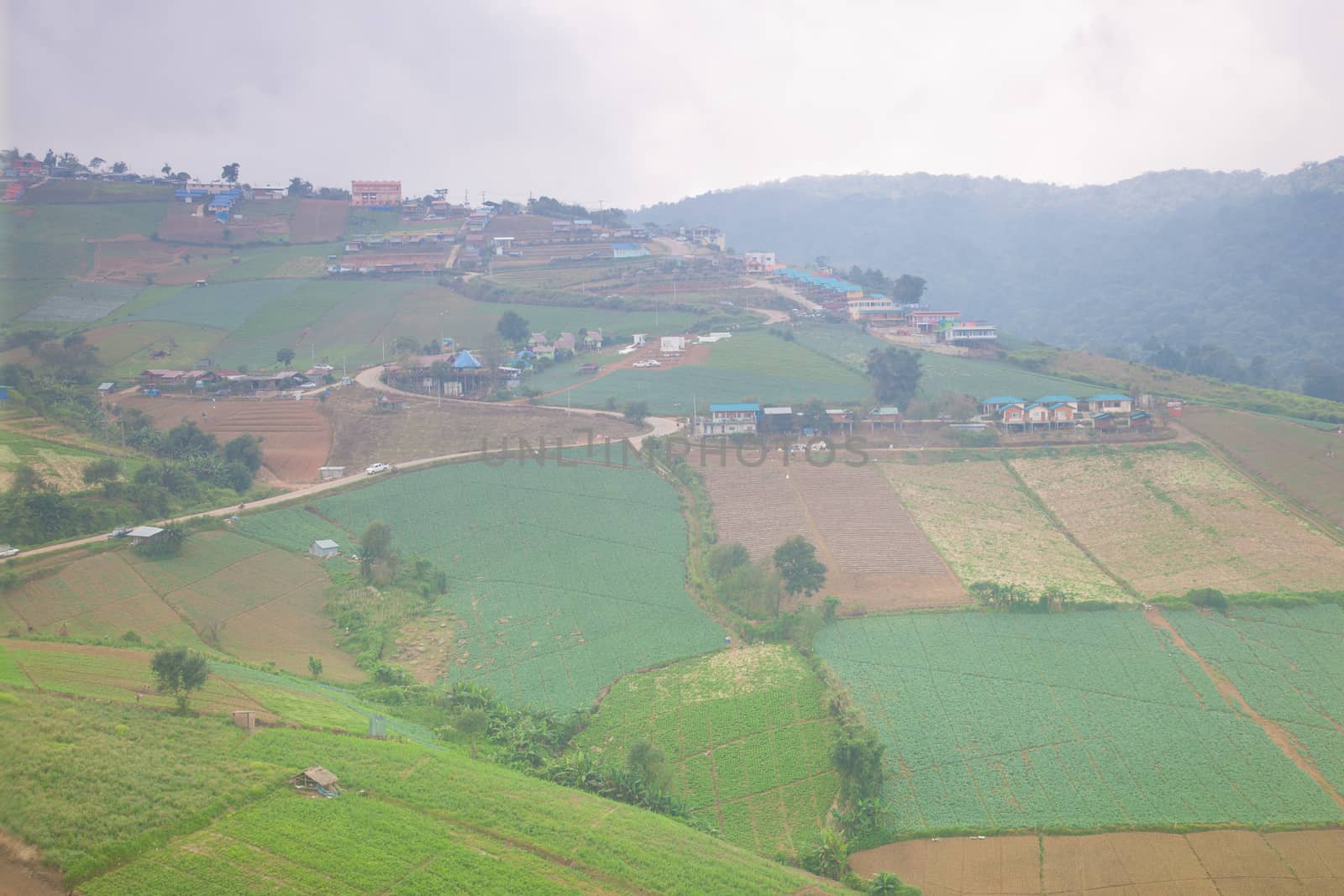 Agricultural lands in the mountains Villagers cultivated crops on the mountain in general.