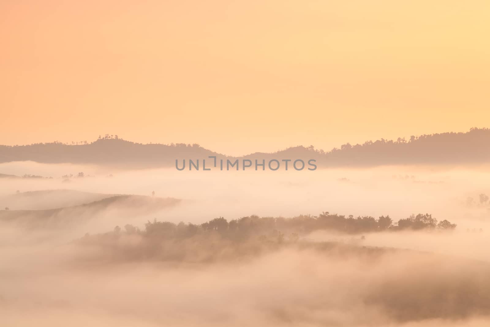 Fog covered mountains and forest in the morning. Northern Thailand is cold and cool in the morning.