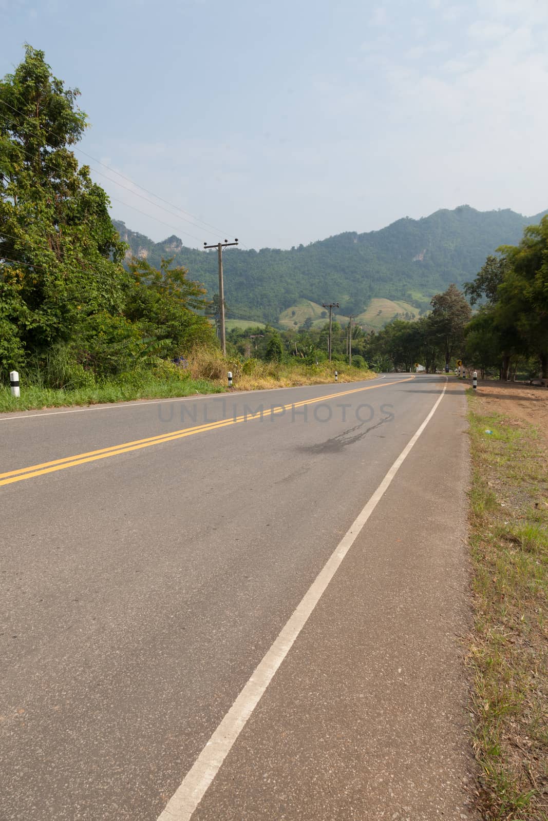 The road on the mountains. The road cuts through the mountains. The trees along the road