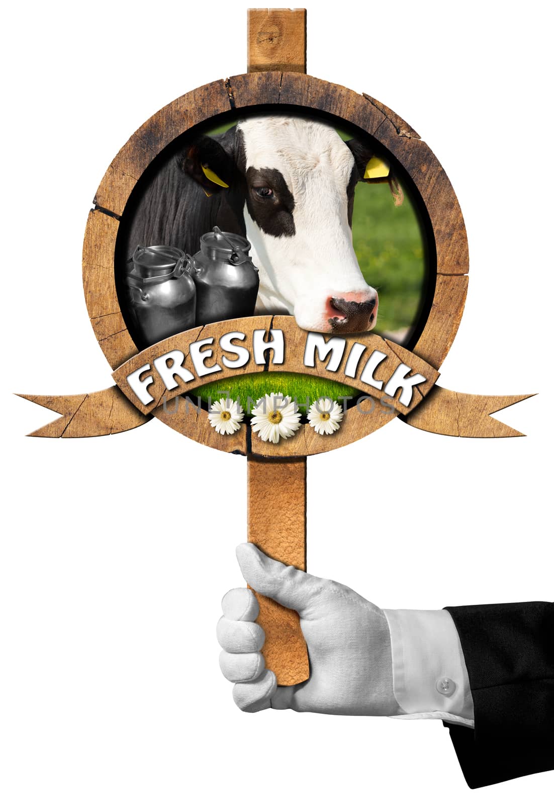 Hand of waiter holding a wooden sign with head of cow, cans of milk, green grass and daisy flowers, wooden ribbon with text Fresh milk. Isolated on white background