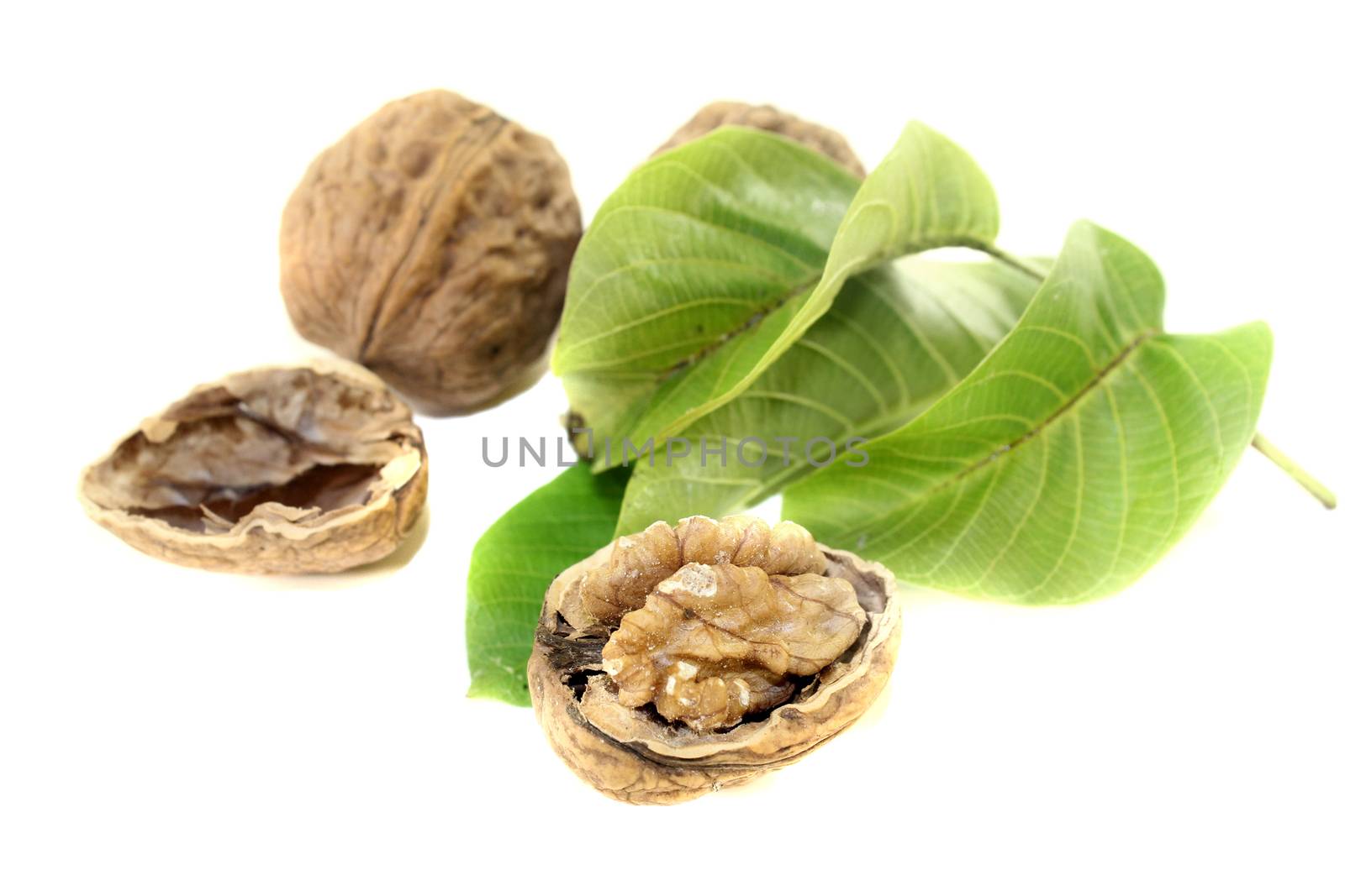 crunchy walnuts with walnut leaves on a bright background