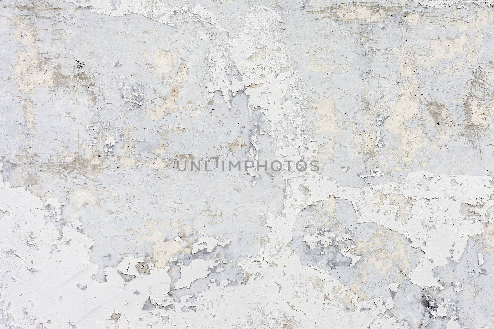 Grungy white concrete wall background by H2Oshka