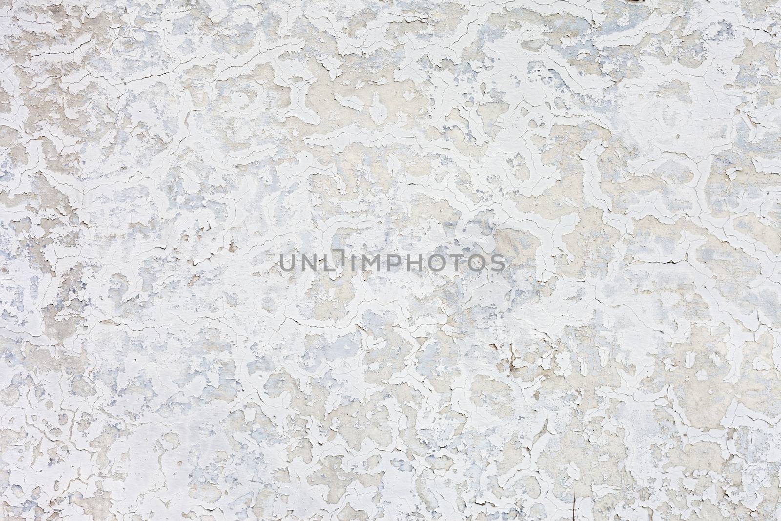 Grungy white concrete wall background by H2Oshka