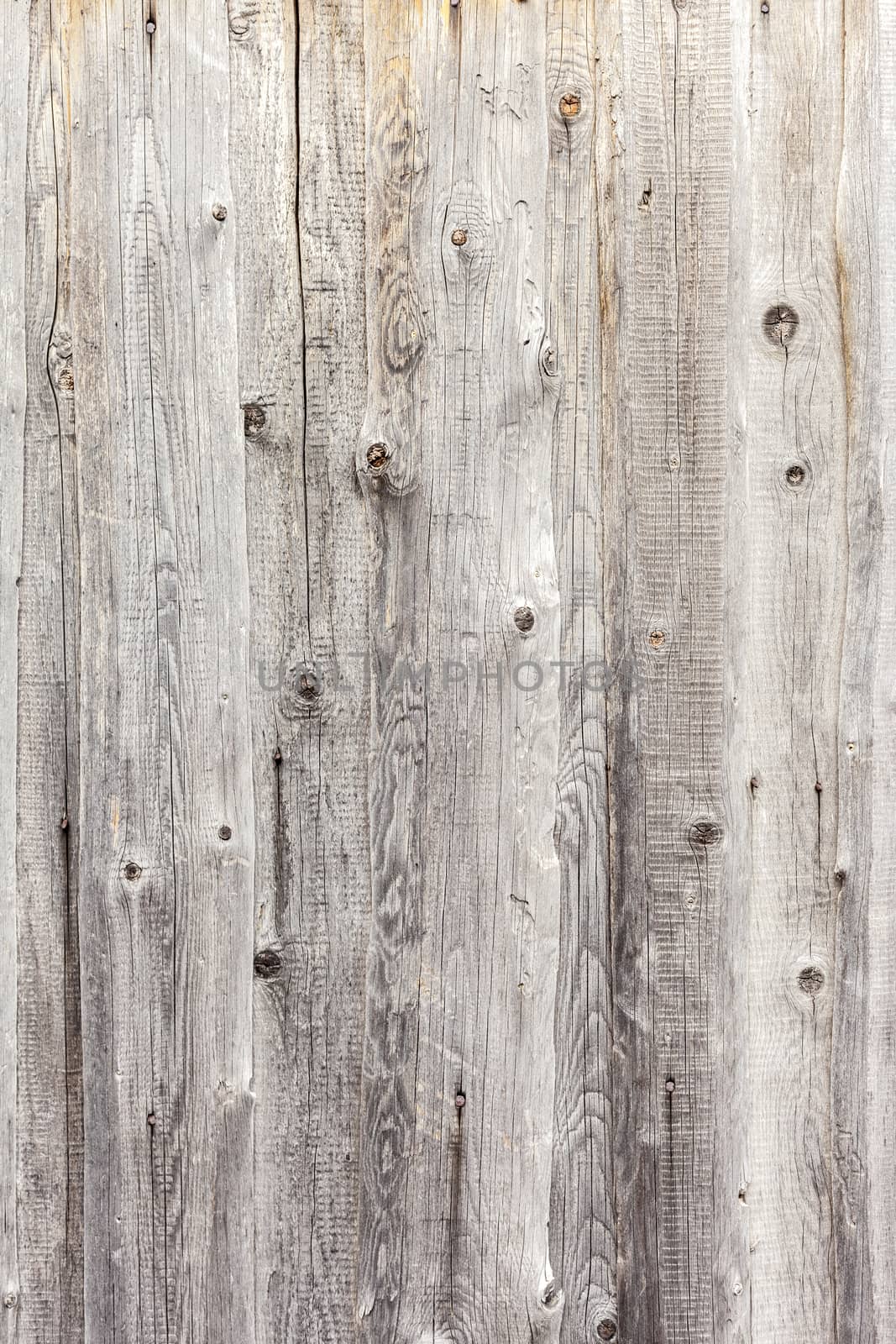 Vintage  white background wood wall. by H2Oshka