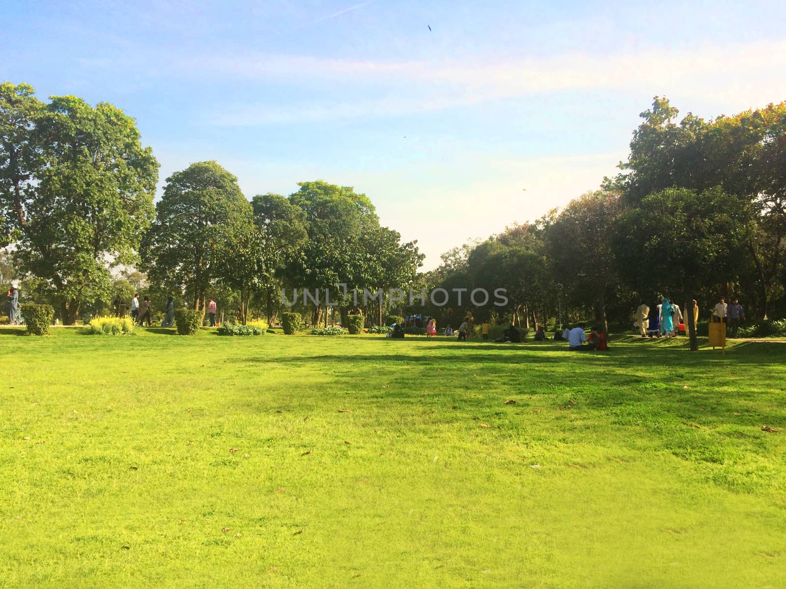 green landscape and trees and sky for multi use