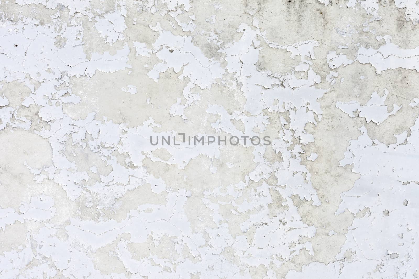 Grungy white concrete wall background by H2Oshka