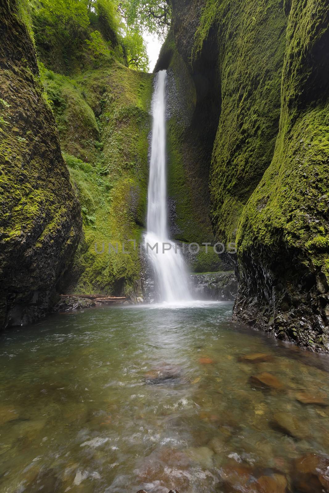 Lower Oneonta Falls at Columbia River Gorge National Scenic Forest in Oregon