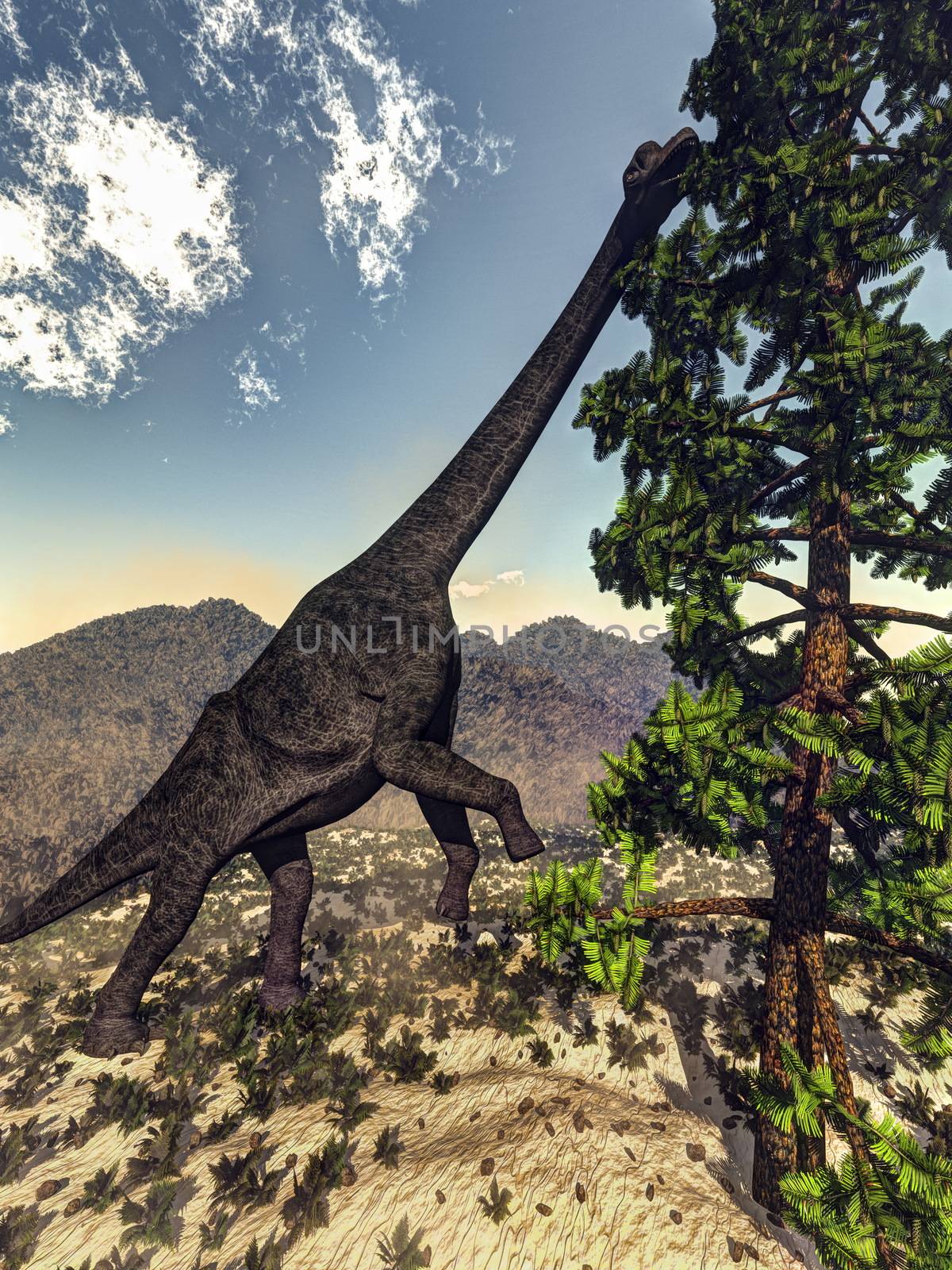 Brachiosaurus dinosaur eating wollomia pine - 3D render by Elenaphotos21