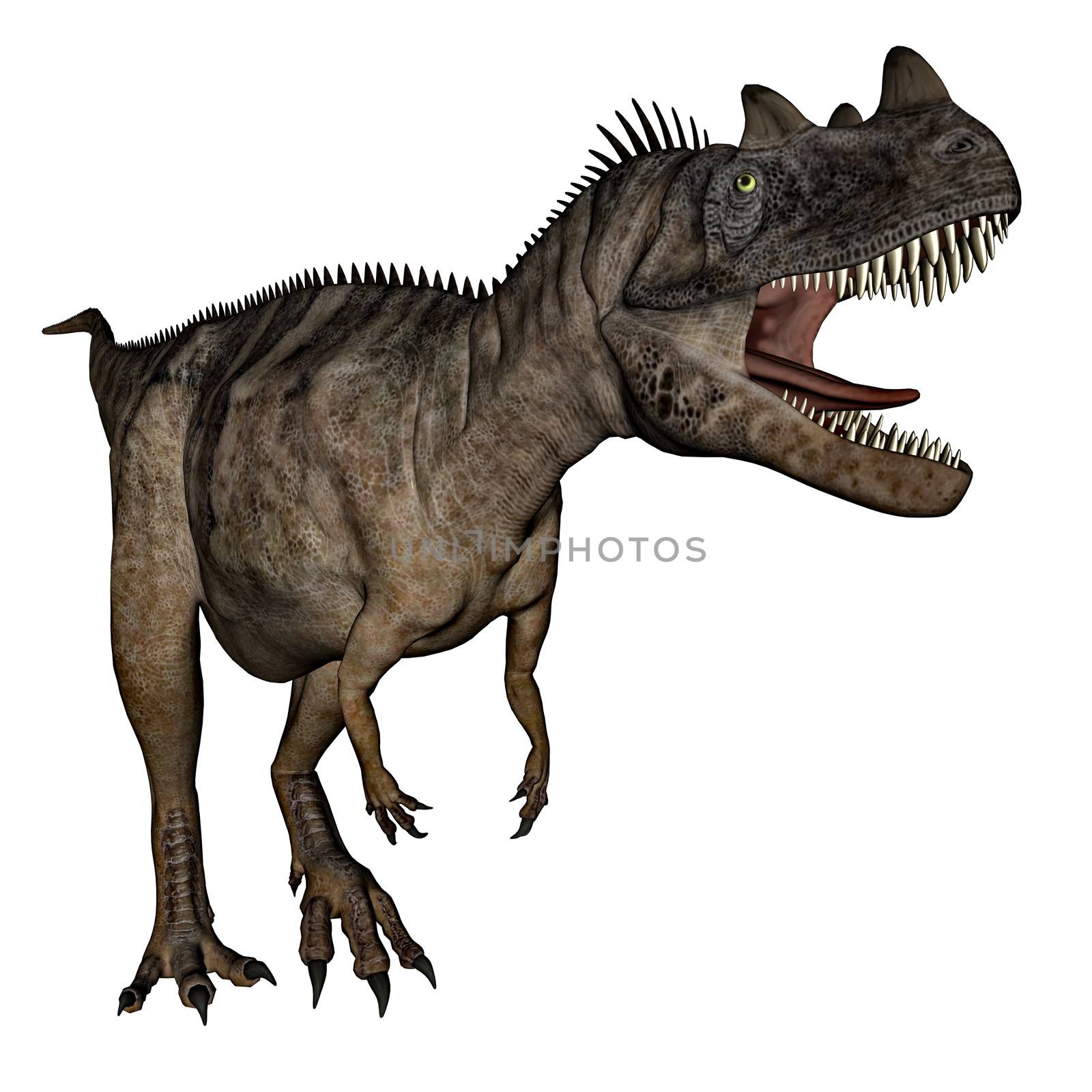 Ceratosaurus dinosaur - 3D render by Elenaphotos21