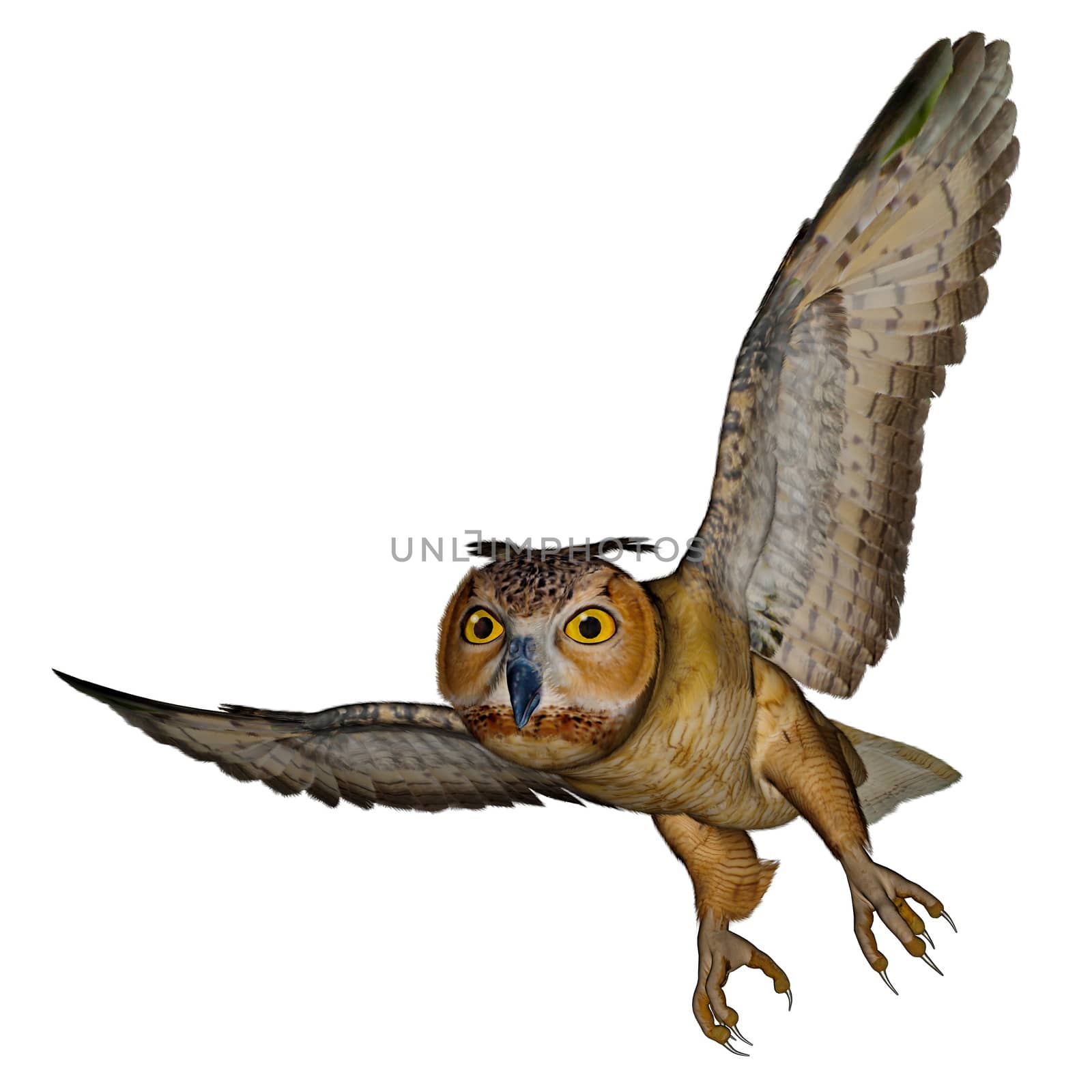 Eagle owl approaching isolated in white background - 3D render