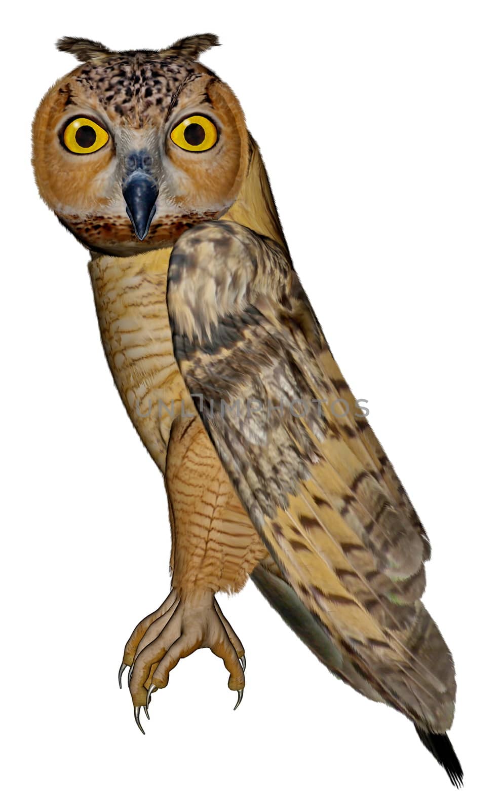 Eagle owl - 3D render by Elenaphotos21