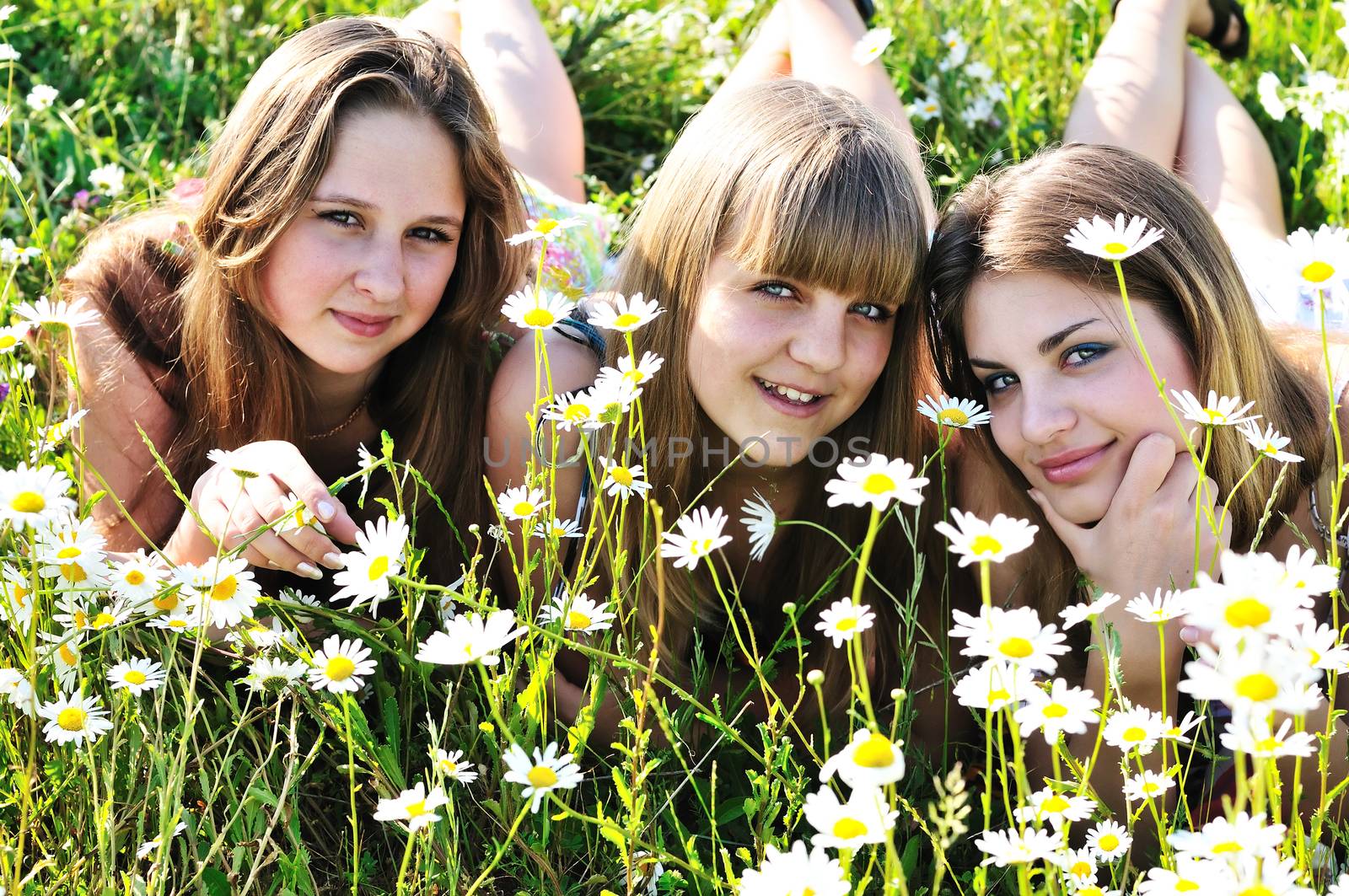 three happy teen girls laying on the daisy meadow