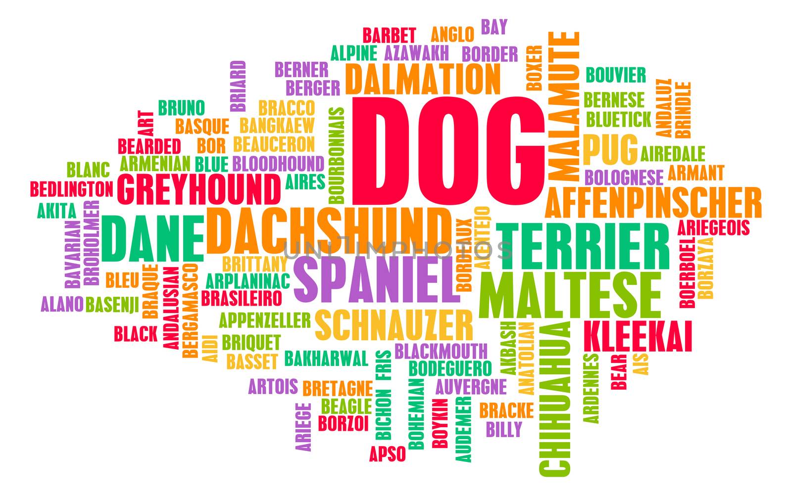 All Types of Dogs and Every Breed as Concept