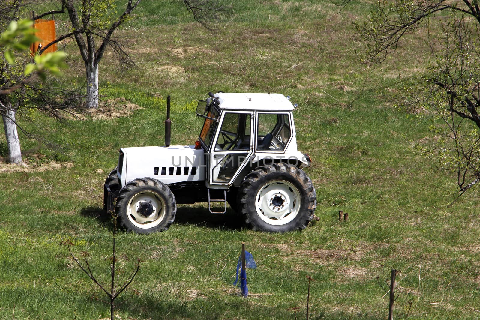 White tractor on field