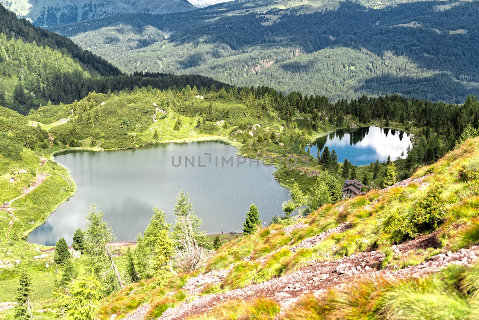 aerial view of the lakes of Colbricon near Passo Rolle in a beautiful summer day, Trentino - Italy