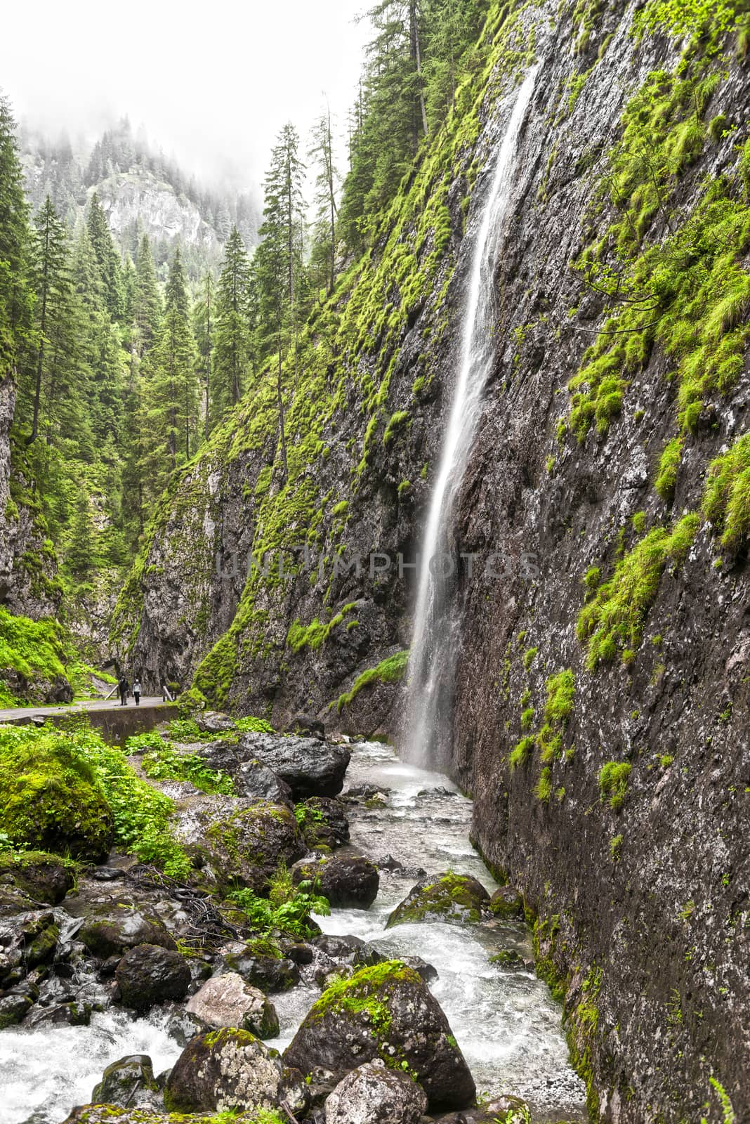 Waterfall in the gorges, Trentino by Mdc1970