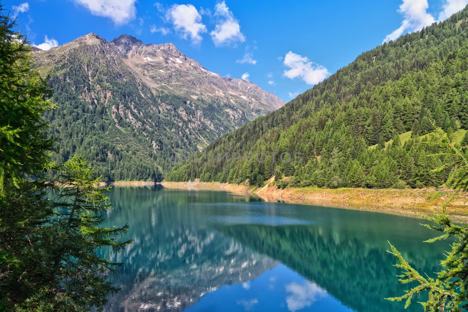 summer view of Pian Palu' lake in Pejo Valley, Trentino, Italy