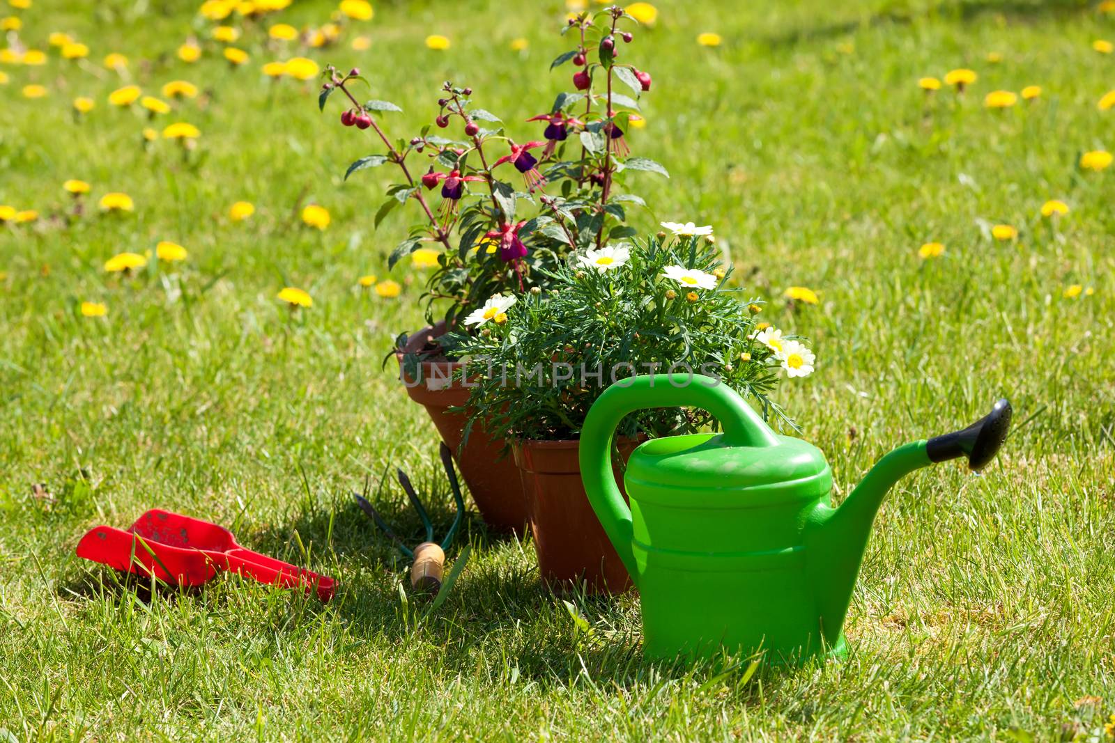 Gardening tools and a straw hat on the grass in the garden