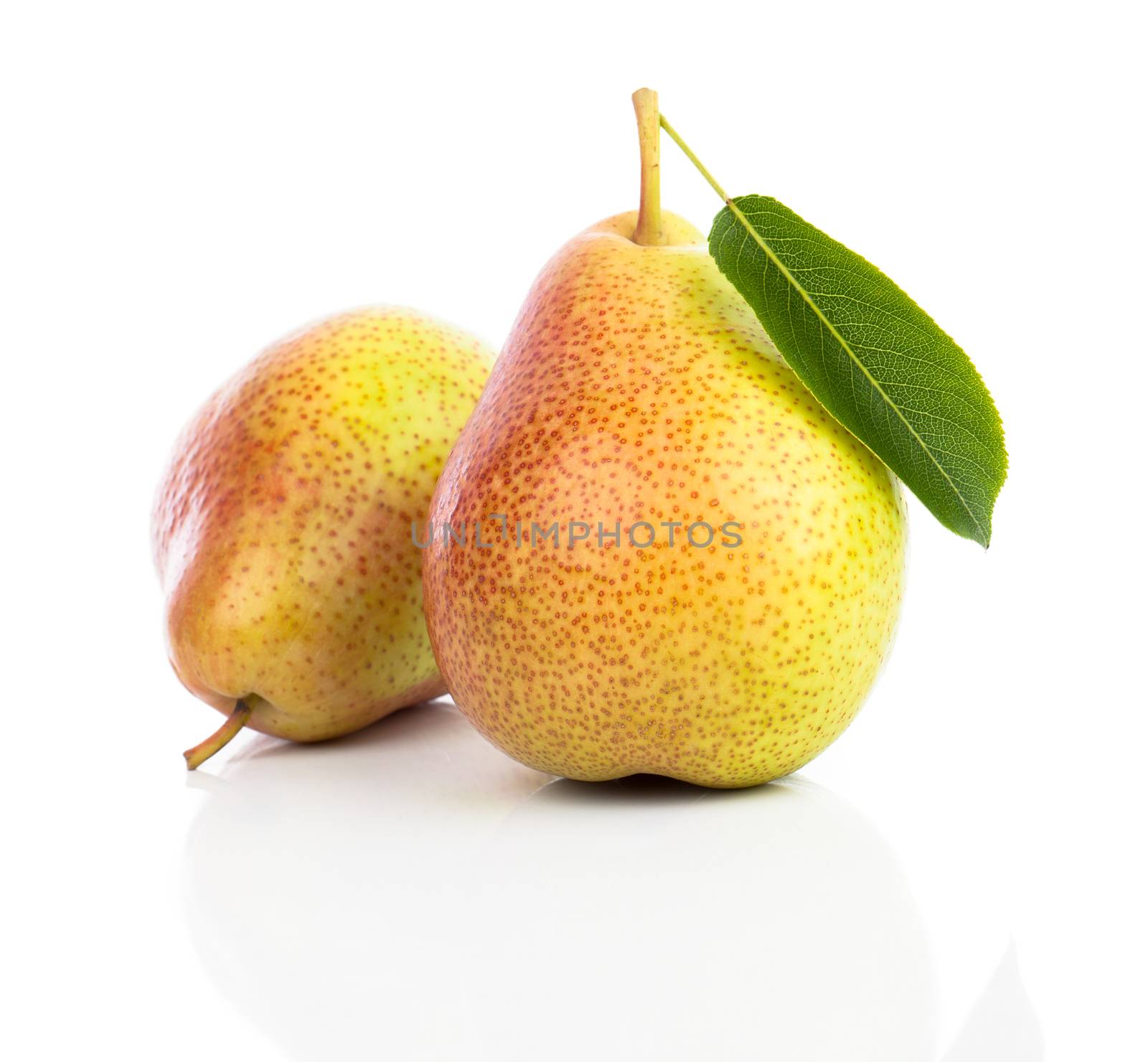 Pear with leaf isolated on white background by motorolka