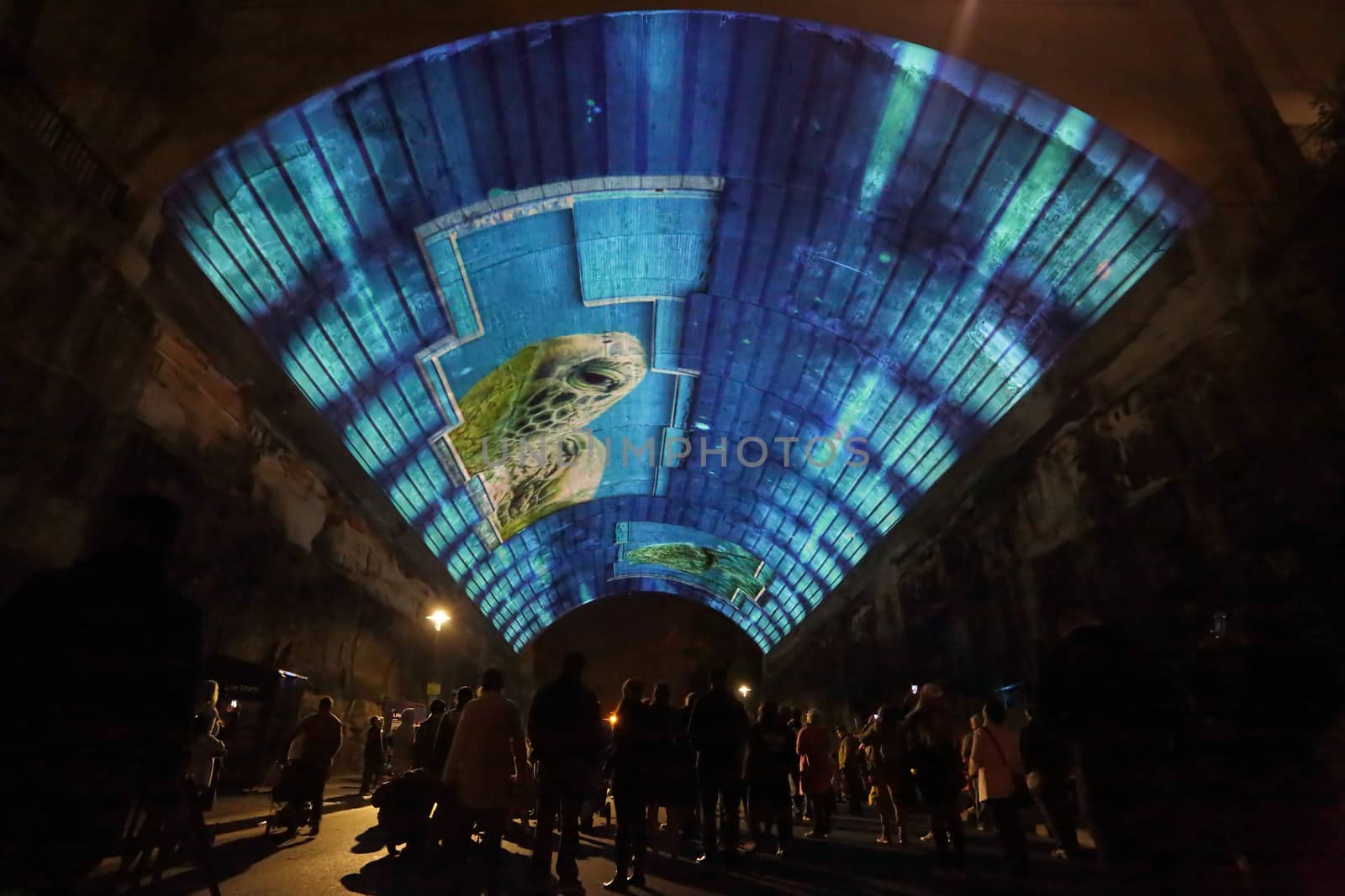 SYDNEY, AUSTRALIA - JUNE 3, 2015 -  Public and tourists watch in awe the amazing projection pictures of Life Story  in the Argyle Cut (tunnel)  from Argyle Street the Rocks-  with sound and editorial narration by Sir David Attenborough for Vivid Sydney. High ISO