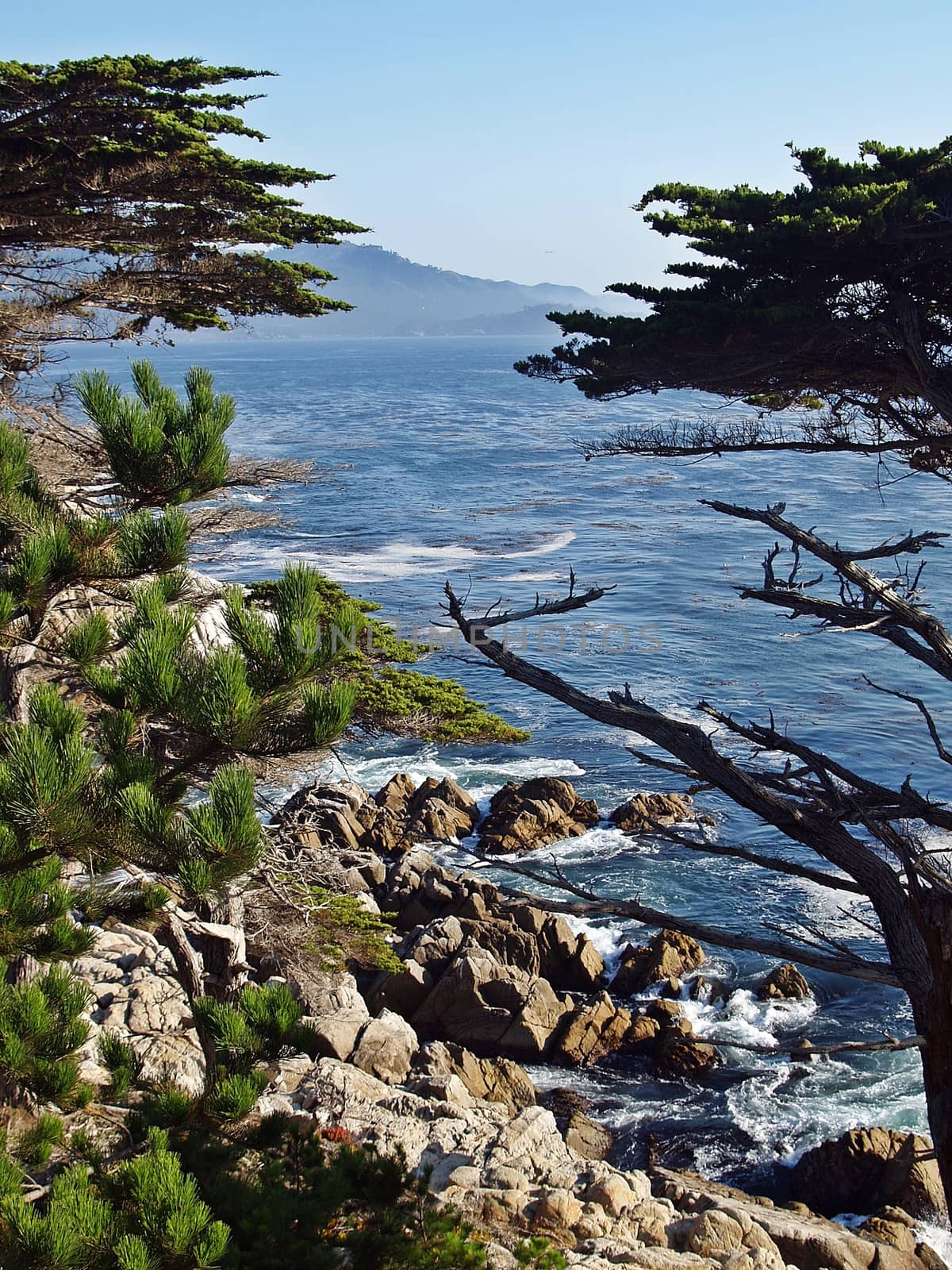 Nature in California, USA, around Lonely Cypress: a famous place for visitors.