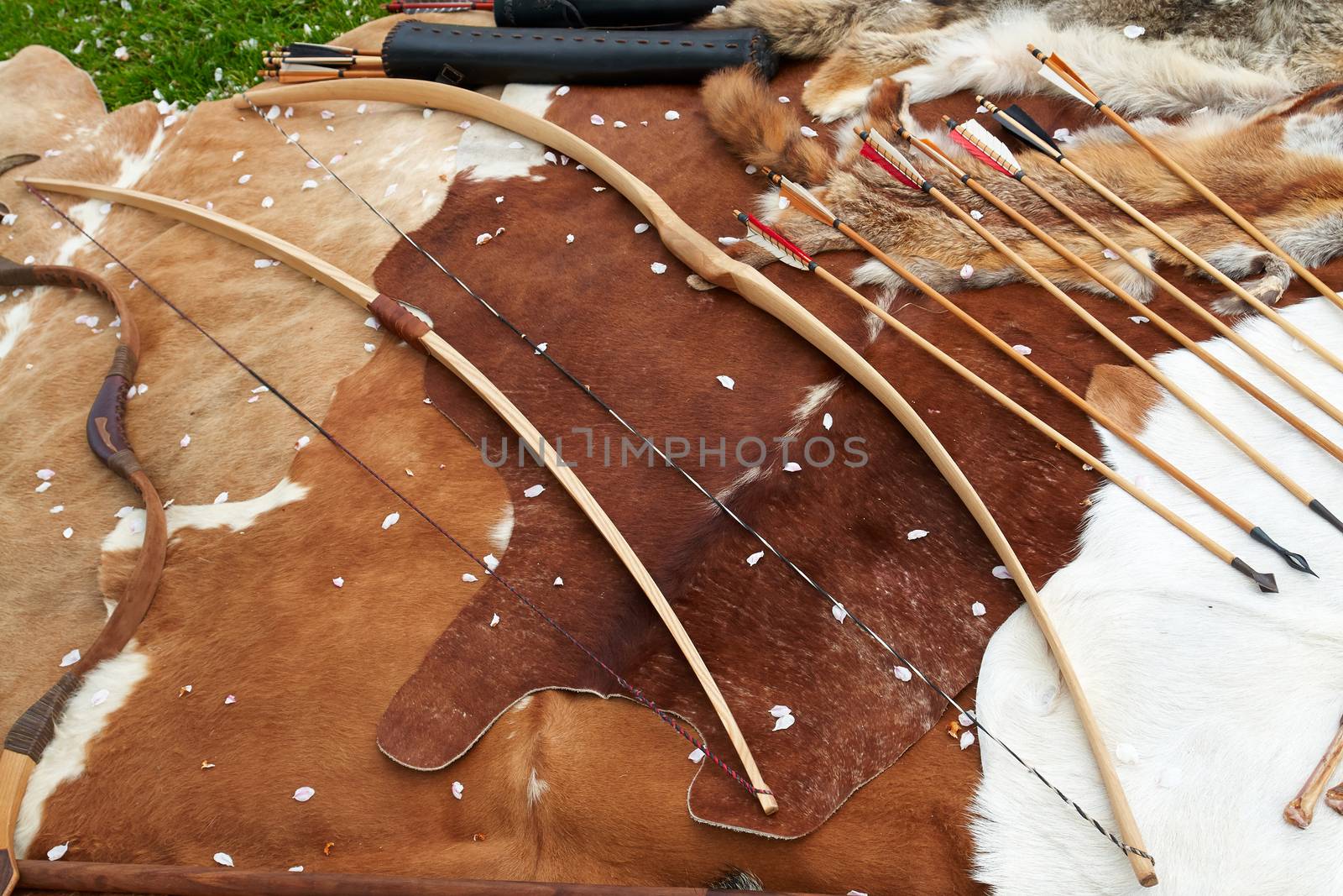 Medieval Middle Age weapons traditional bows and arrows in a display                              