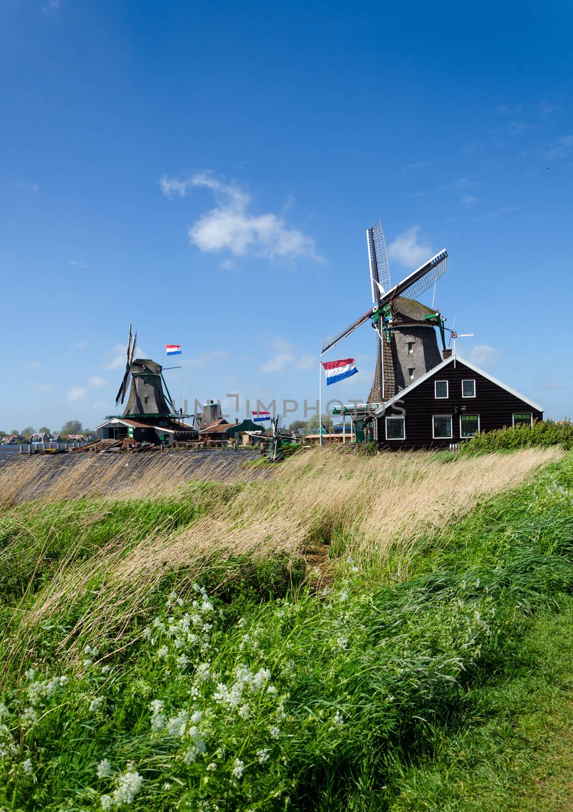Zaanse Schans, The Netherlands. by siraanamwong