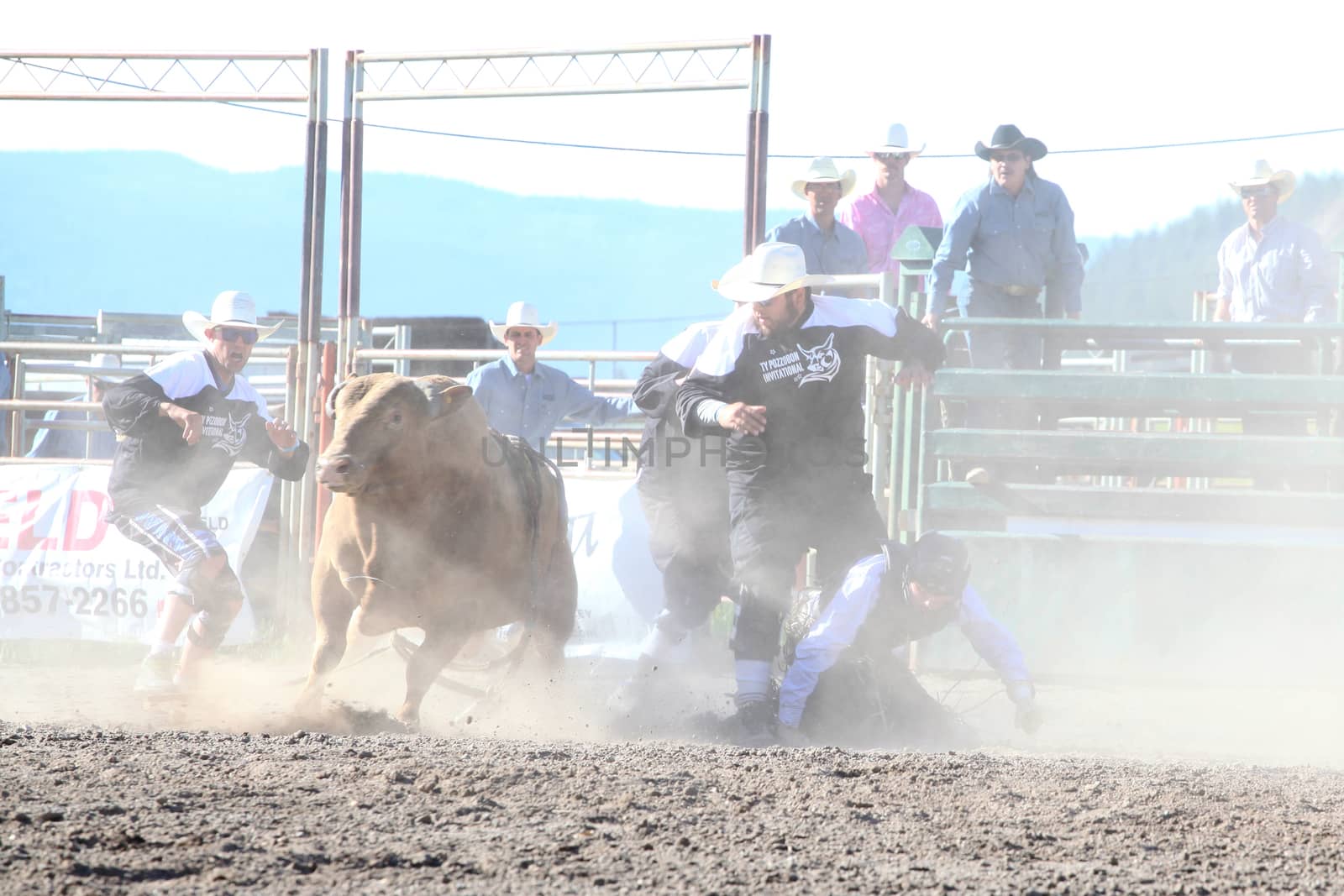 MERRITT, B.C. CANADA - May 30, 2015: Bull rider riding in the first round of The 3rd Annual Ty Pozzobon Invitational PBR Event.