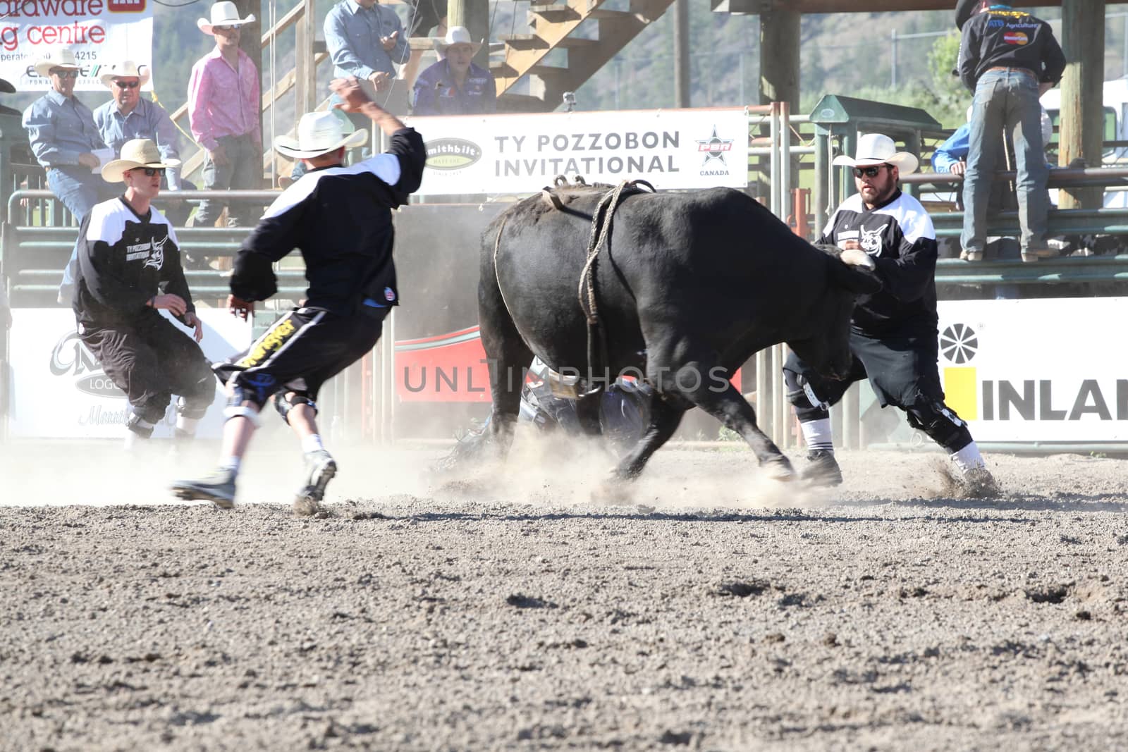 MERRITT, B.C. CANADA - May 30, 2015: Bull rider riding in the first round of The 3rd Annual Ty Pozzobon Invitational PBR Event.