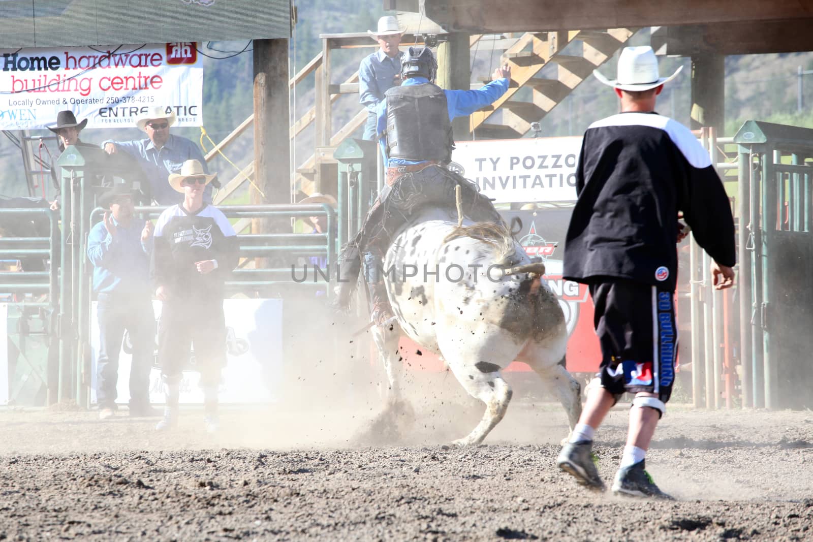 MERRITT, B.C. CANADA - May 30, 2015: Bull rider riding in the first round of The 3rd Annual Ty Pozzobon Invitational PBR Event.