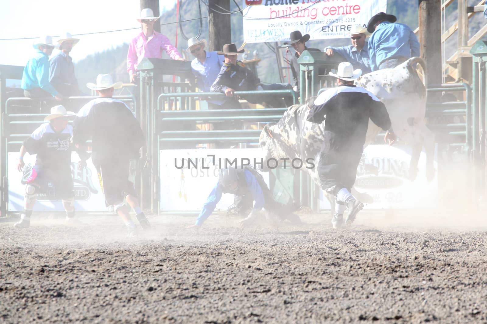 MERRITT, B.C. CANADA - May 30, 2015: Bull rider riding in the first round of The 3rd Annual Ty Pozzobon Invitational PBR Event.