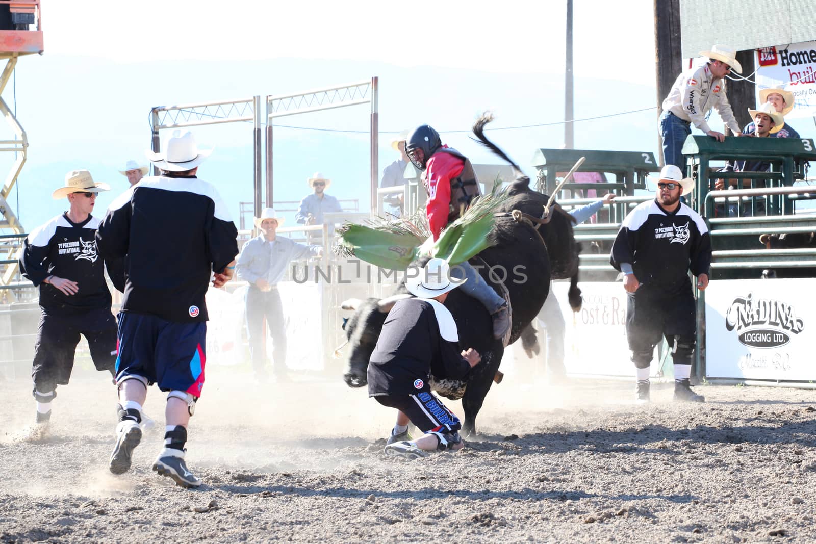 MERRITT, B.C. CANADA - May 30, 2015: Bull rider riding in the first round of The 3rd Annual Ty Pozzobon Invitational PBR Event.