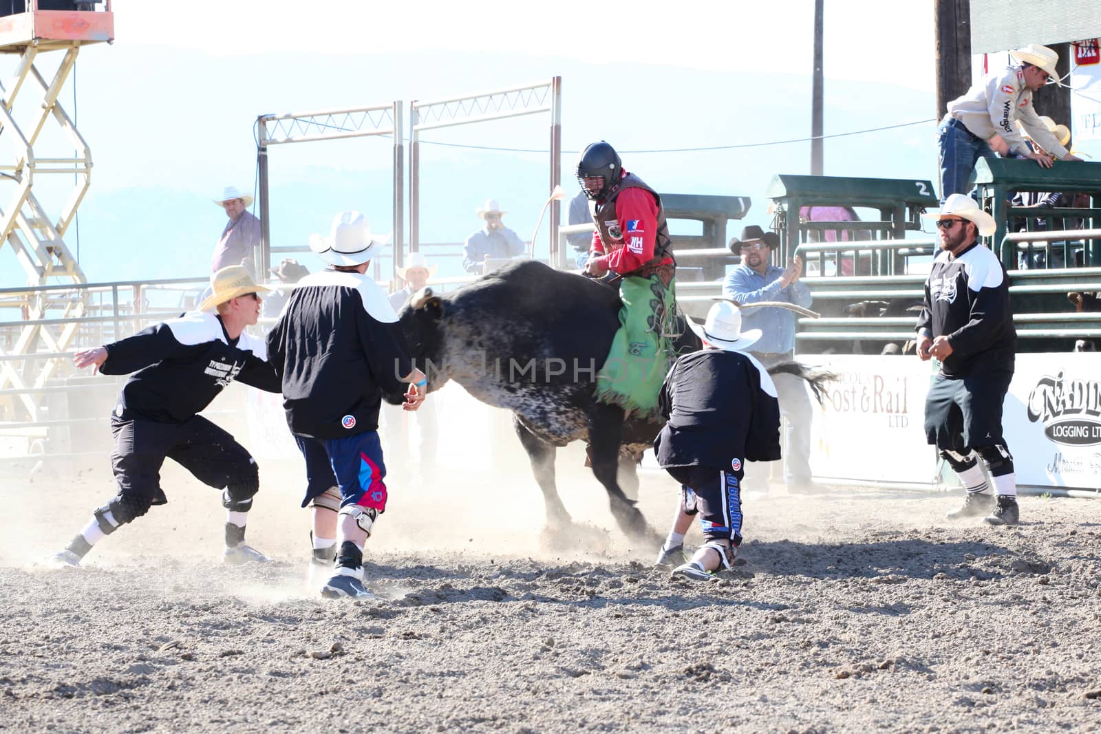 MERRITT, B.C. CANADA - May 30, 2015: Bull rider riding in the first round of The 3rd Annual Ty Pozzobon Invitational PBR Event.