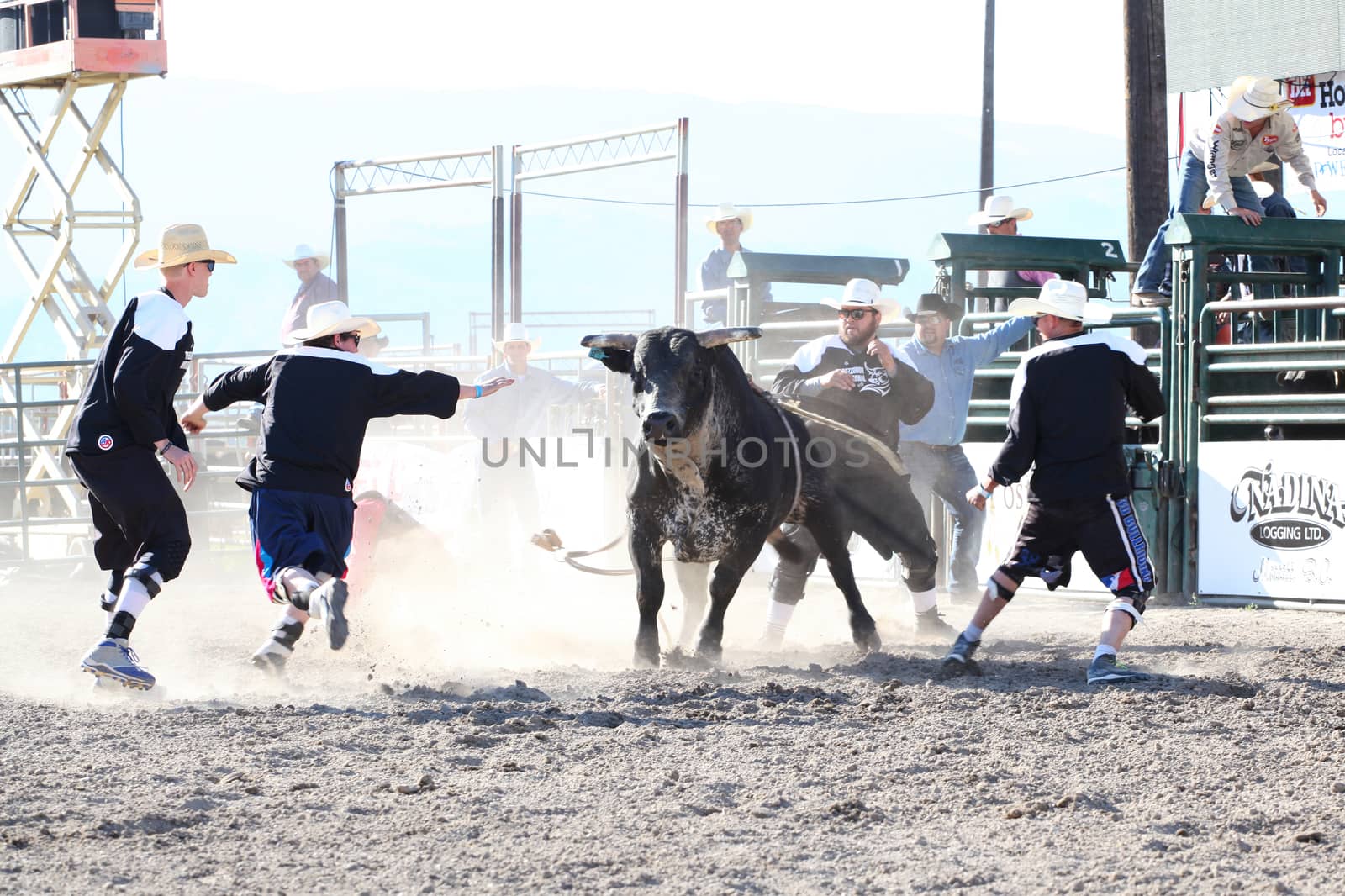 MERRITT, B.C. CANADA - May 30, 2015: Bull rider riding in the first round of The 3rd Annual Ty Pozzobon Invitational PBR Event.