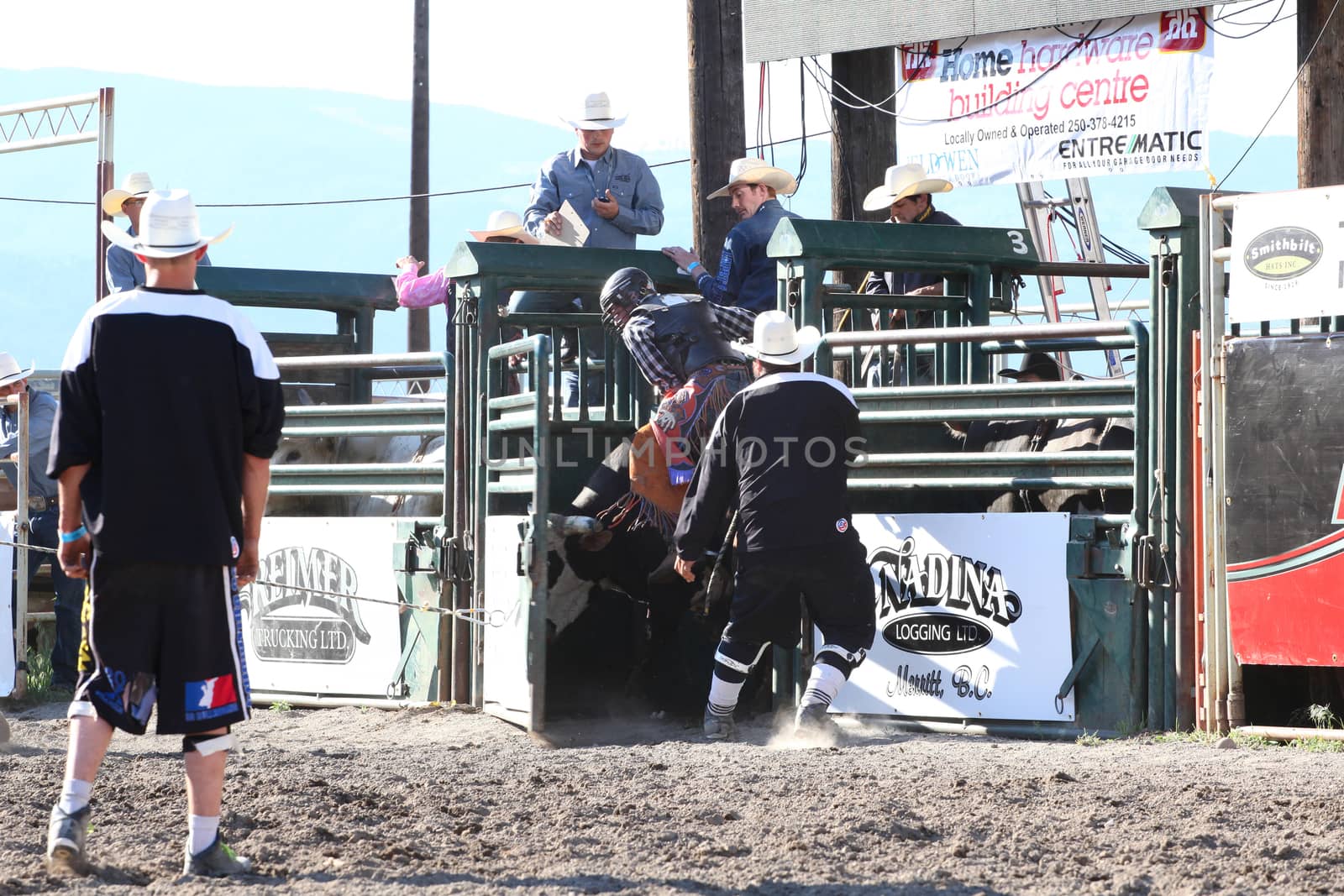 MERRITT, B.C. CANADA - May 30, 2015: Bull rider riding in the first round of The 3rd Annual Ty Pozzobon Invitational PBR Event.